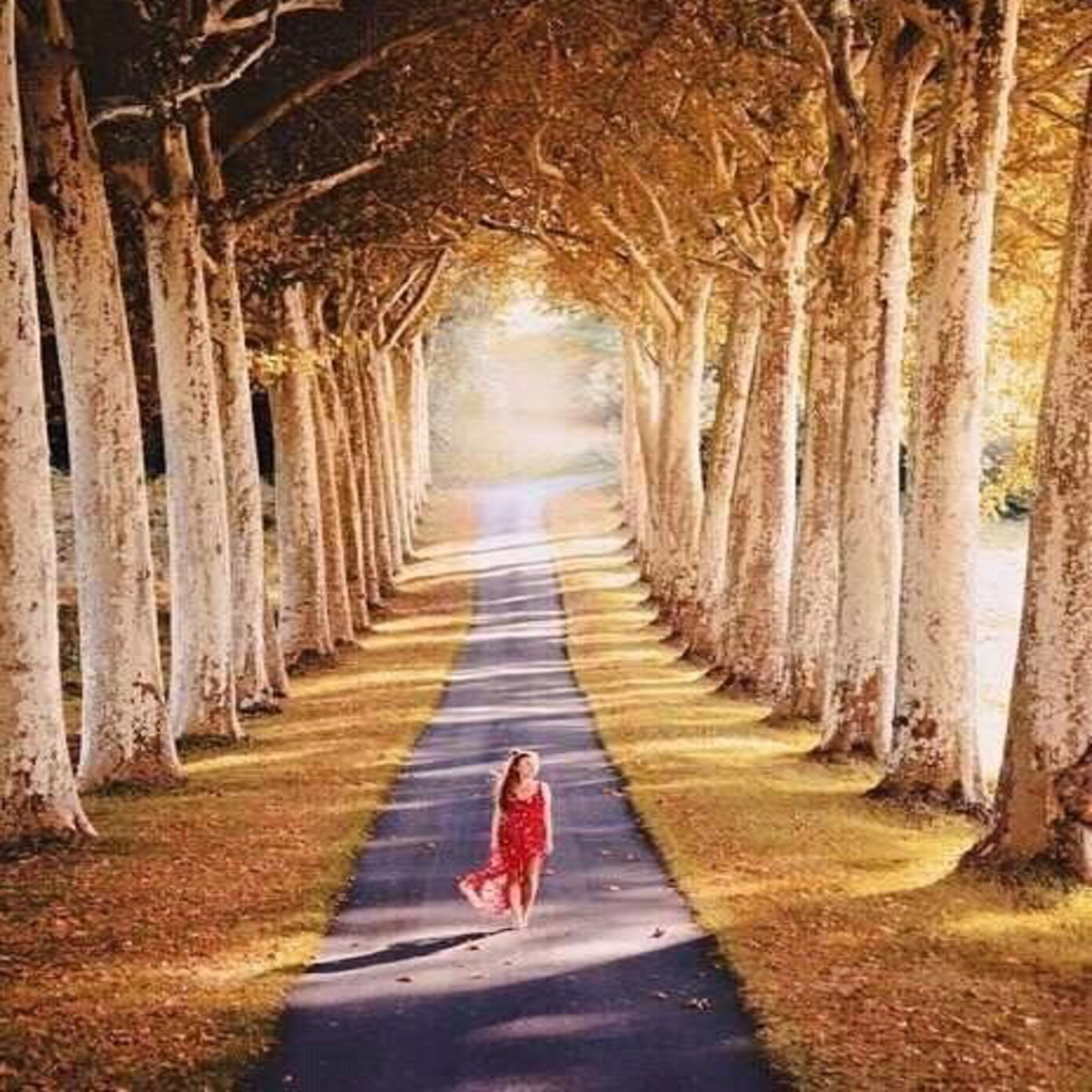 Cuando me vaya 🍂💞🙏🏼 episode artwork