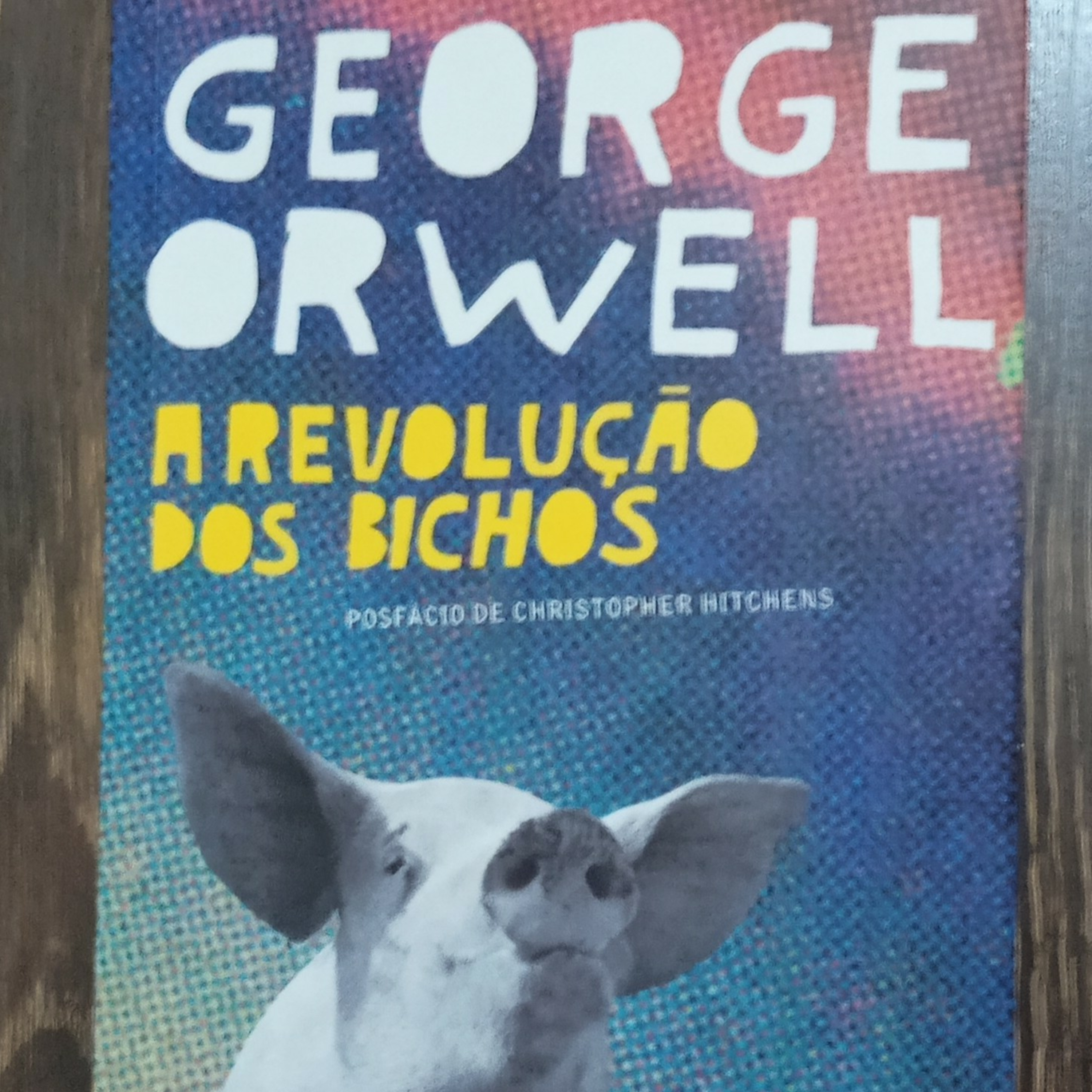 George Orwell - A Revolução dos Bichos - Cap. 7 episode artwork