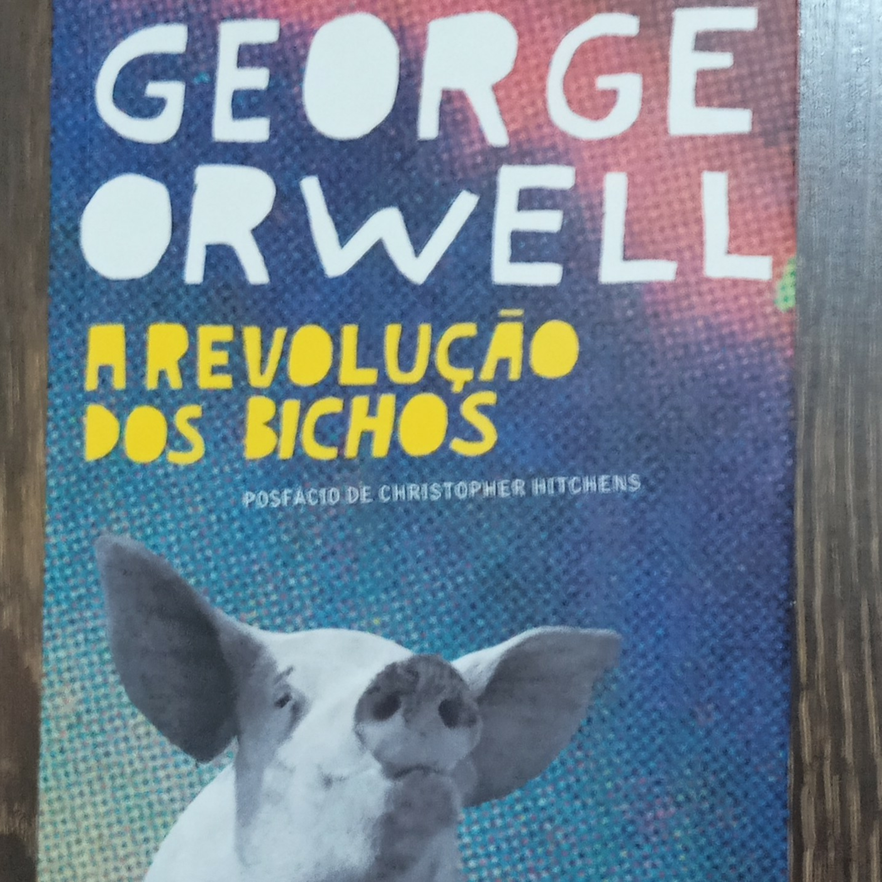 George Orwell - A Revolução dos Bichos - Cap. 9 episode artwork