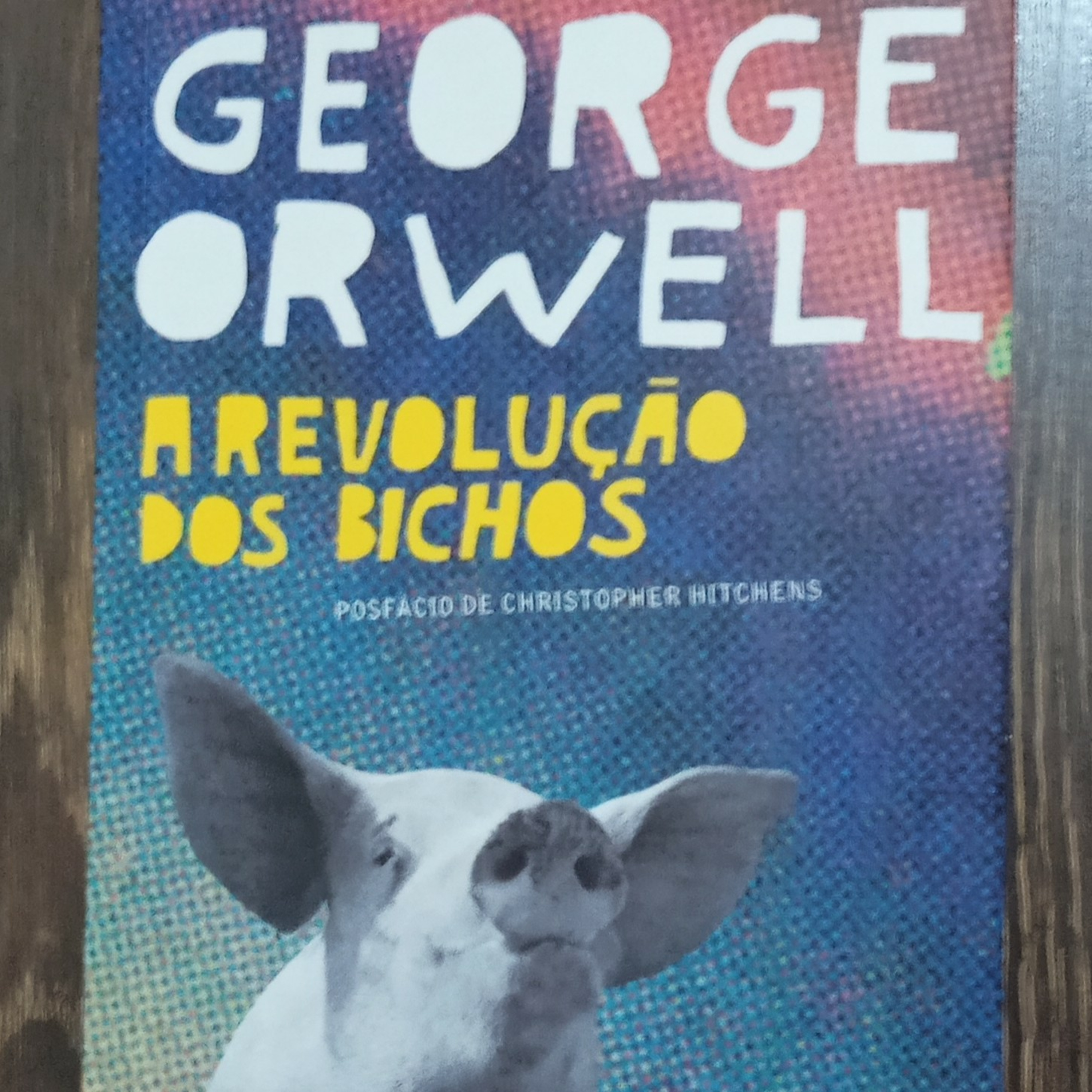 George Orwell - A Revolução dos Bichos - Cap. 10 - Fim episode artwork