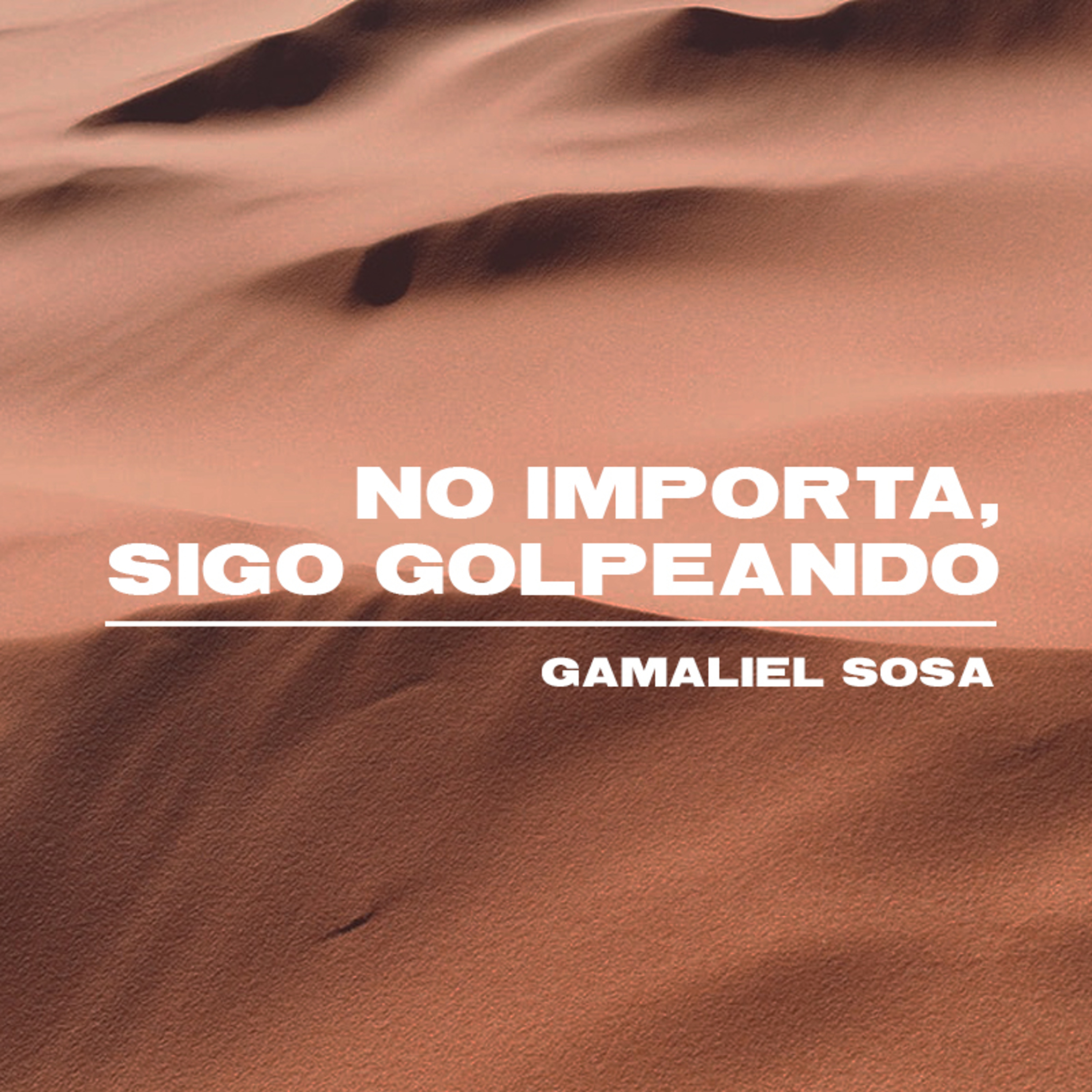 No importa, sigo peleando episode artwork