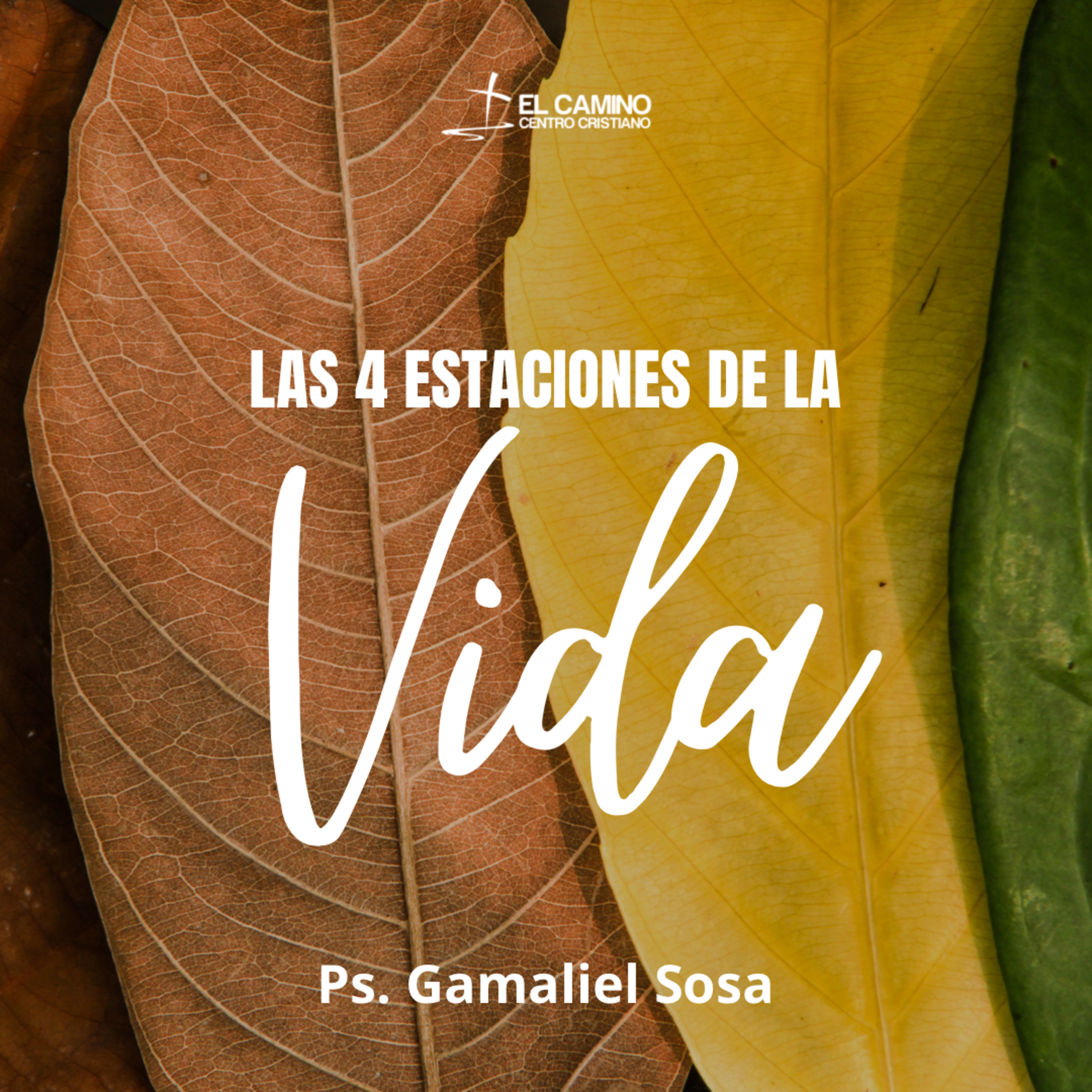 Las Cuatro Estaciones de la Vida episode artwork