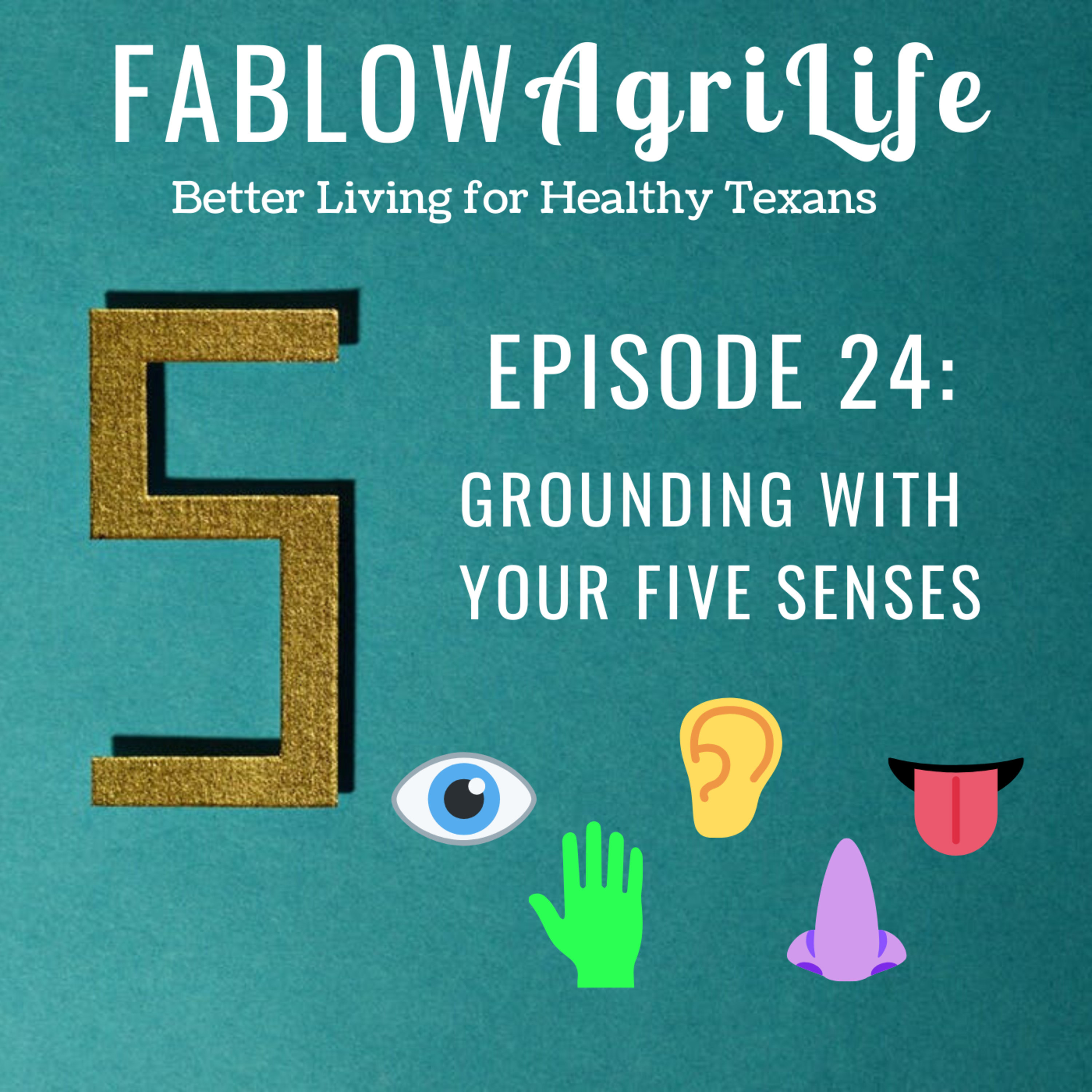 Grounding with your Five Senses - Episode 24