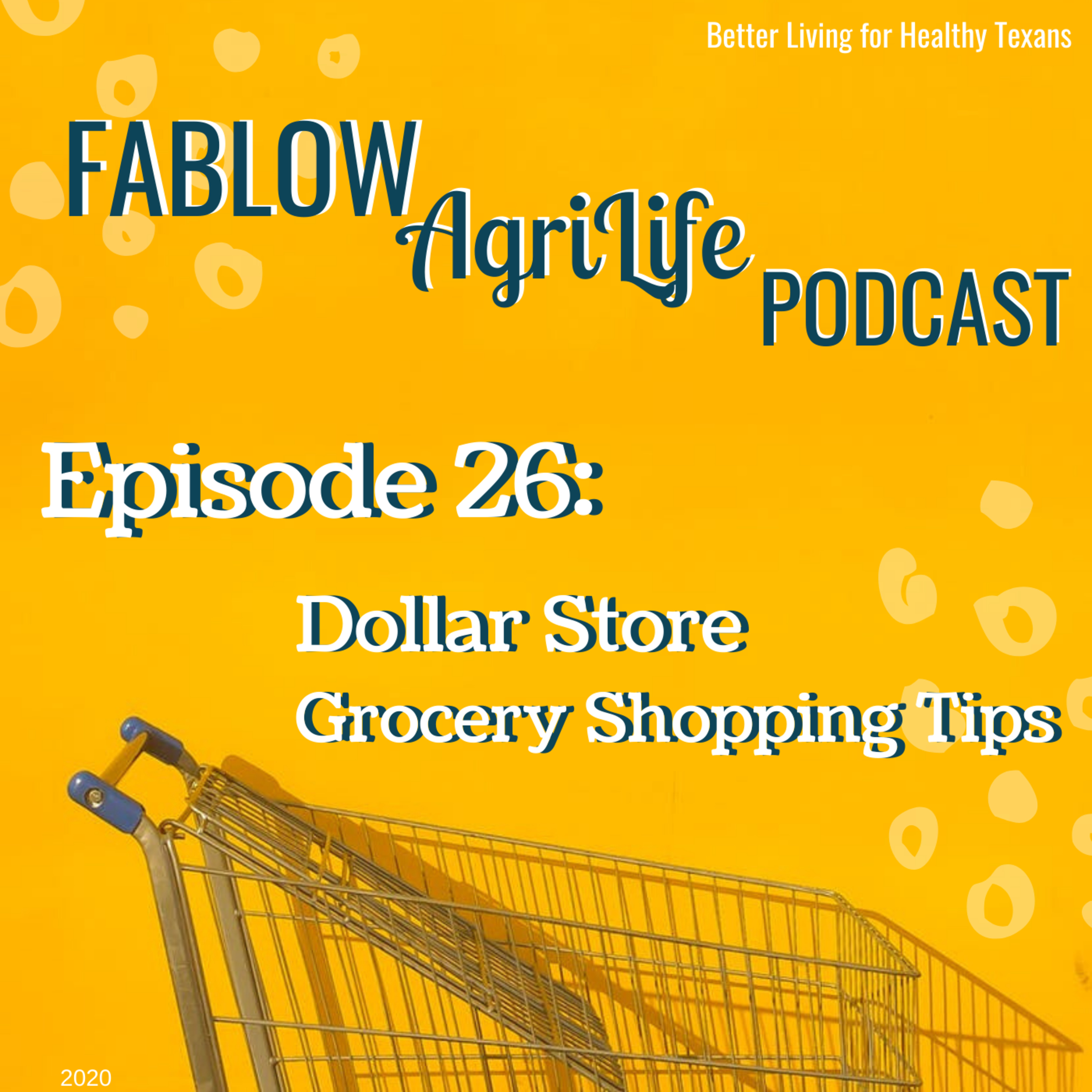 Dollar Store Grocery Shopping Tips - Episode 26