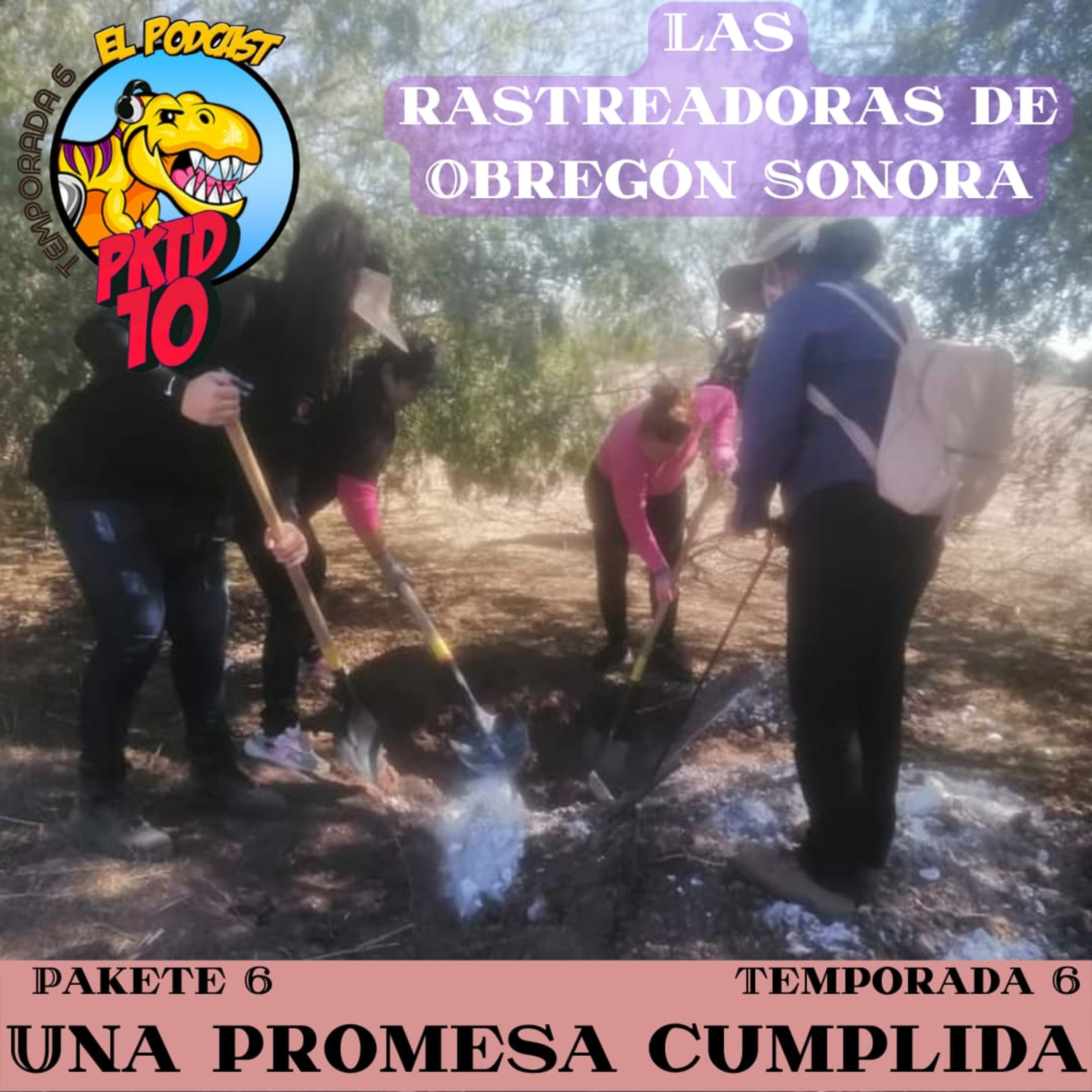 Pakete 6 t6: Una promesa cumplida ft las rastreadoras de cd Obregón Sonora  episode artwork