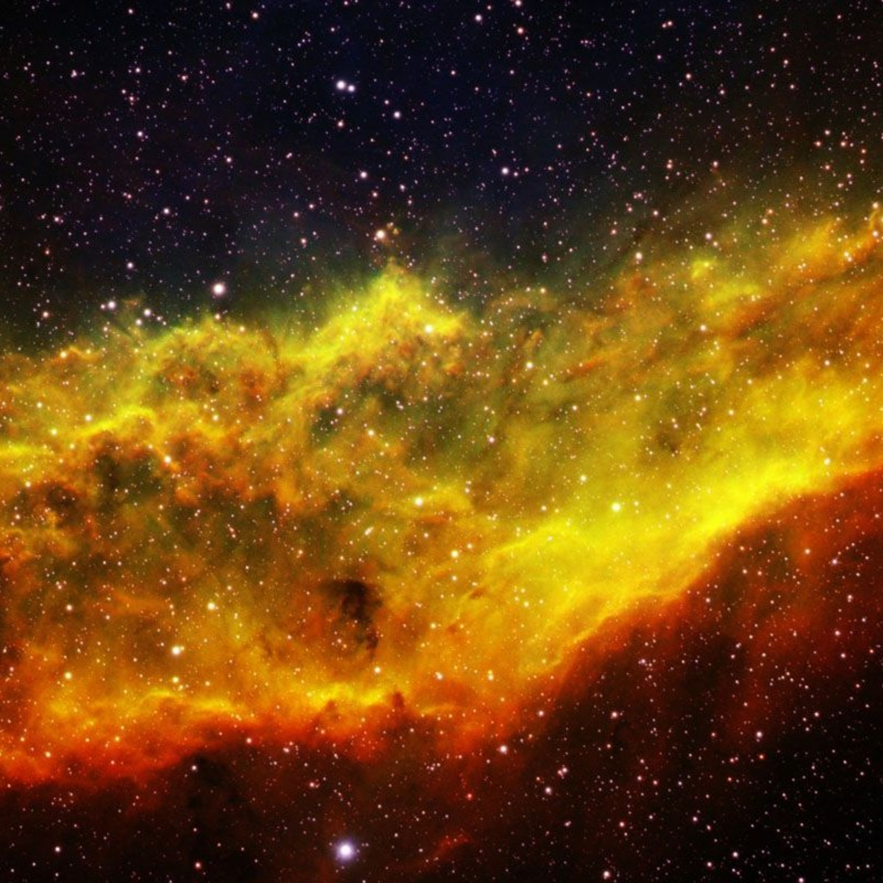 Intronautas