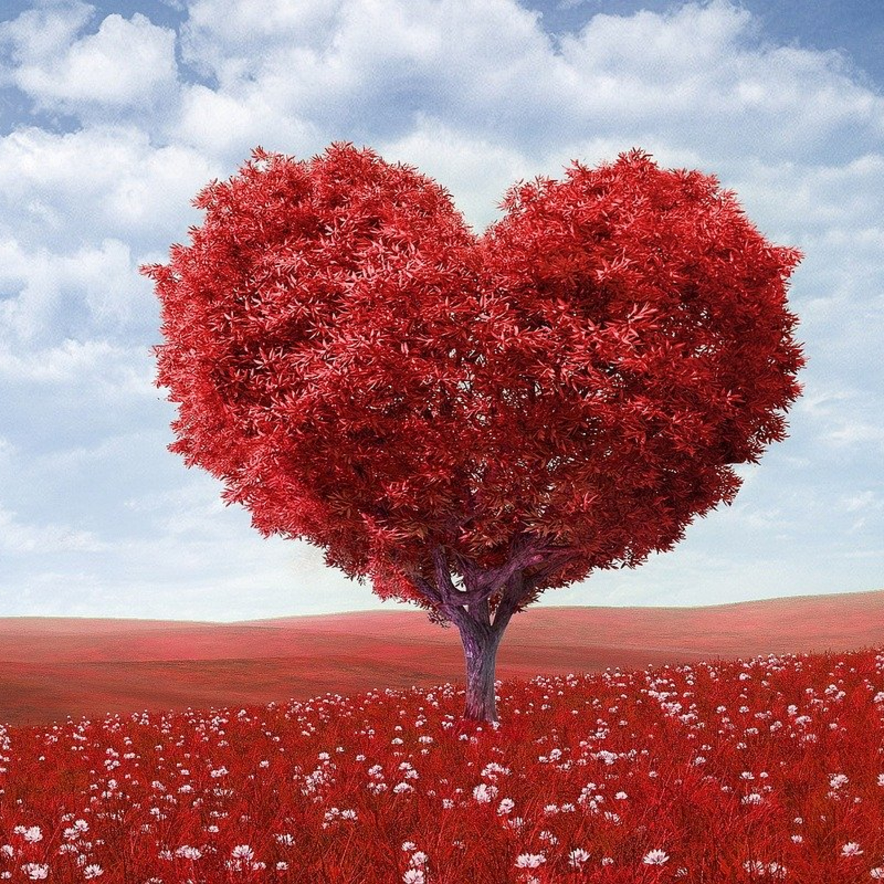 Love (Tagalog) episode artwork