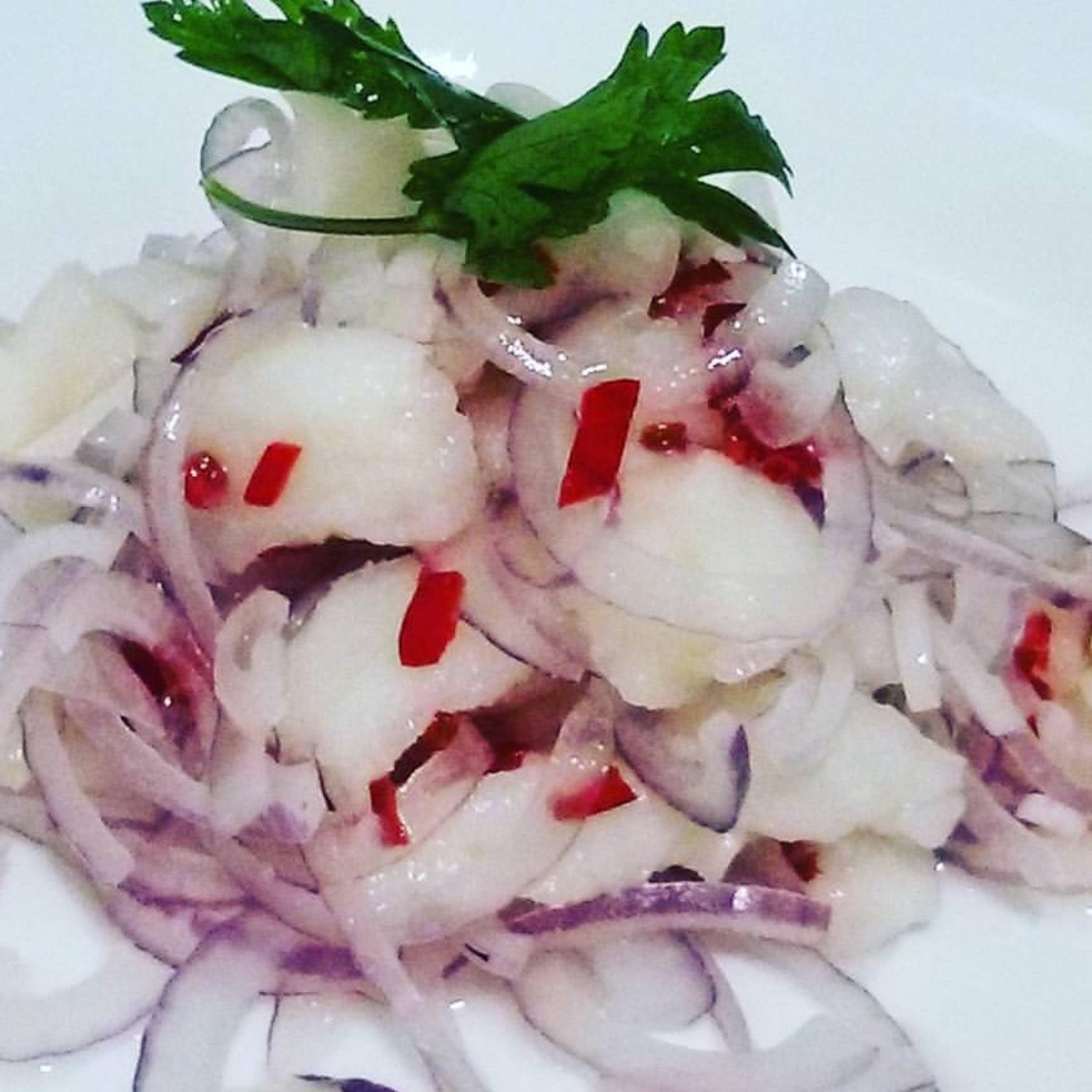 RECEITAS AO PÉ DO OUVIDO