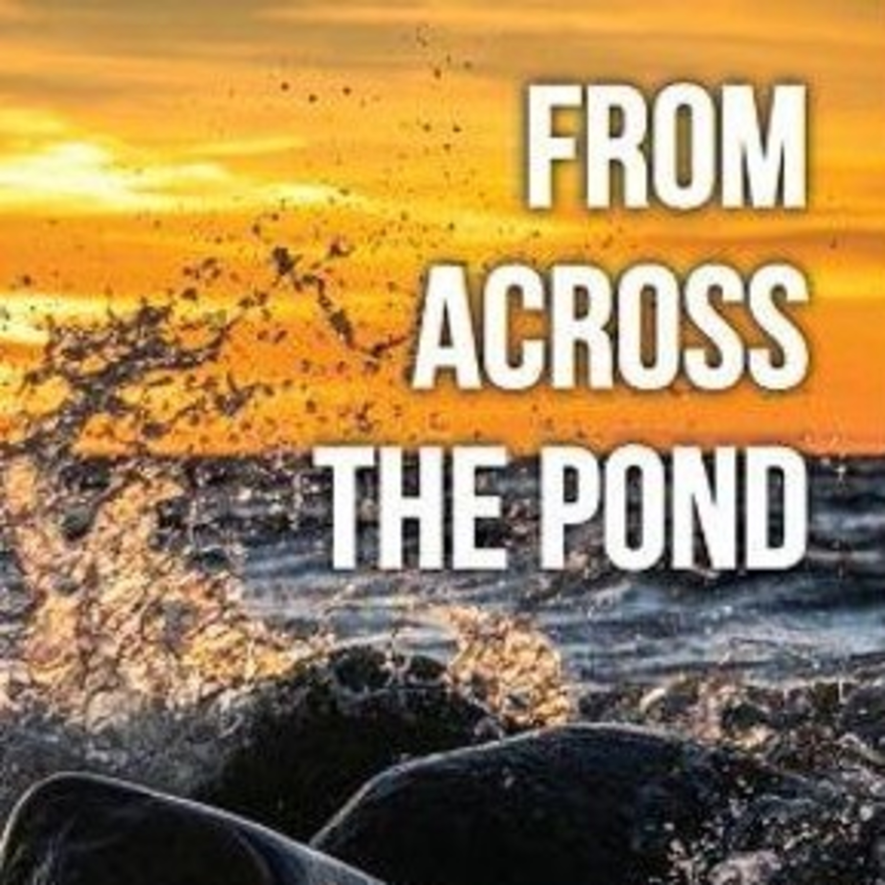 Episode 8: A Talk From Across The Pond episode artwork
