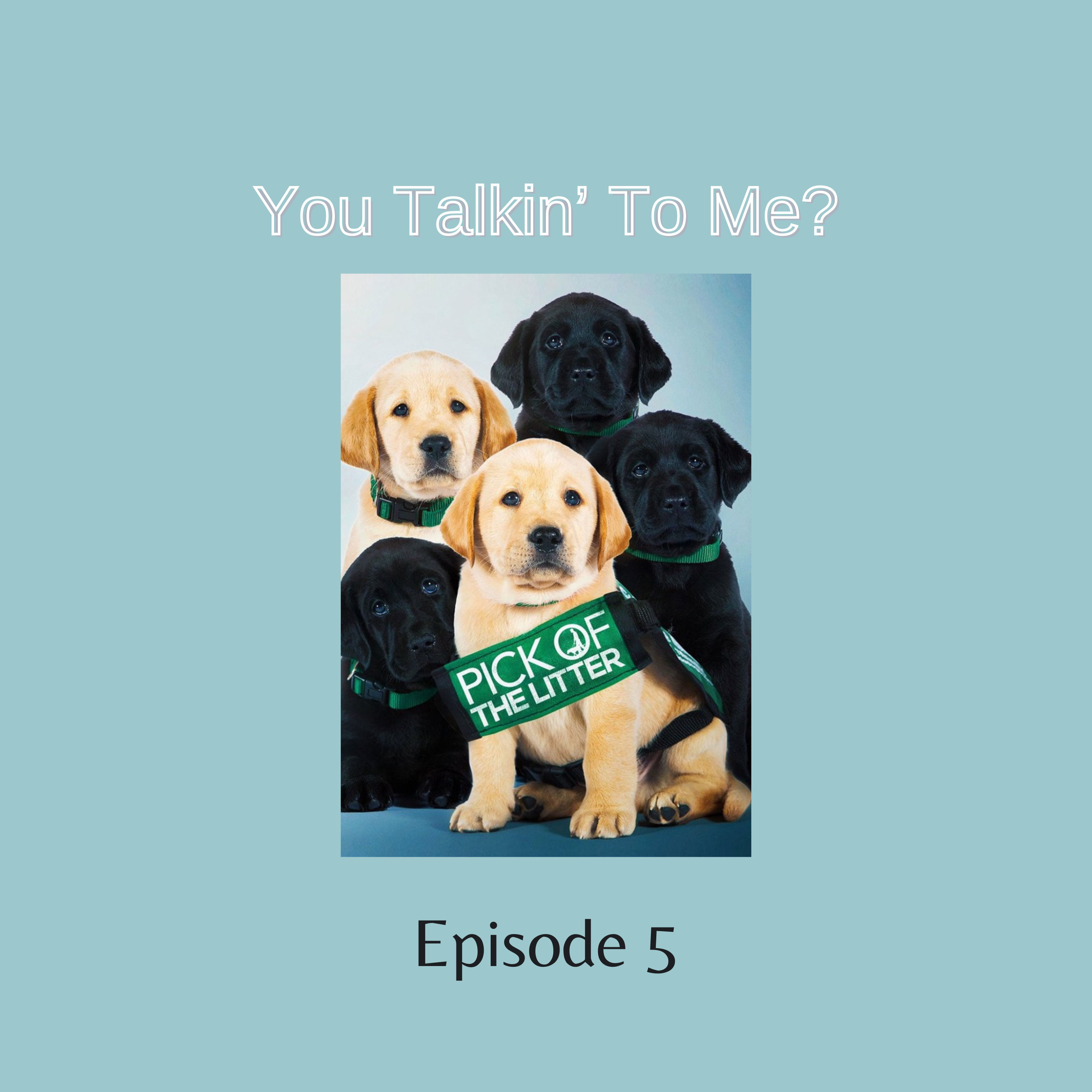 You Talkin\' To Me?