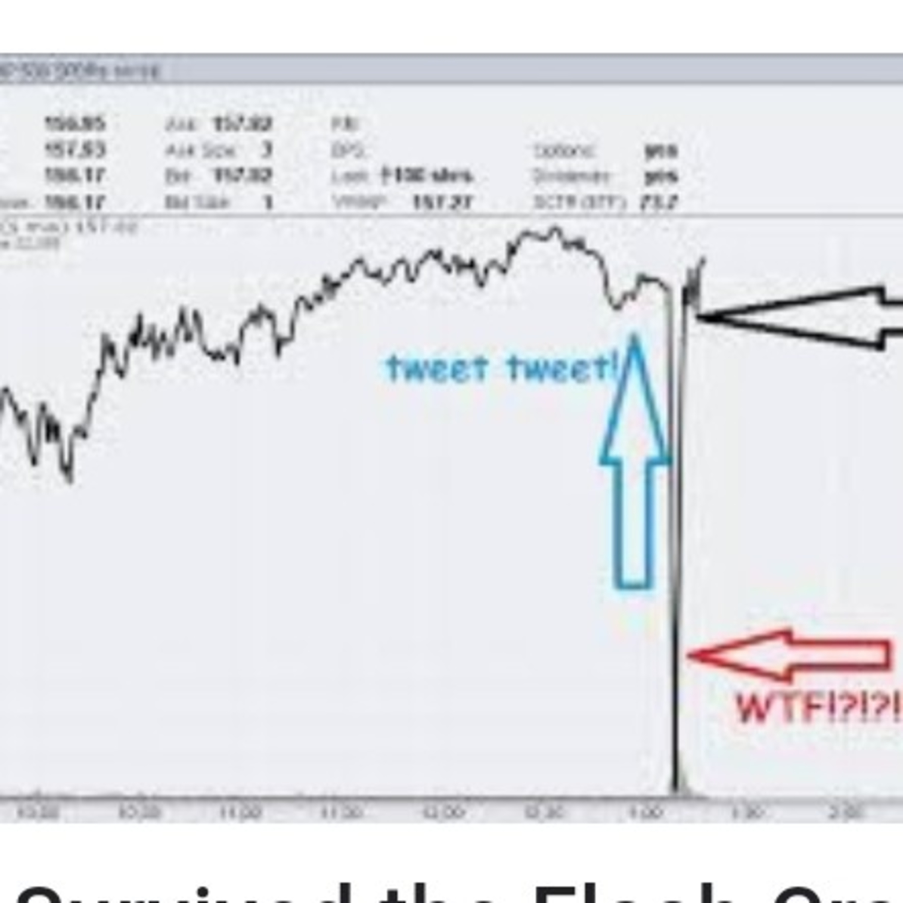 Wealth Hackers