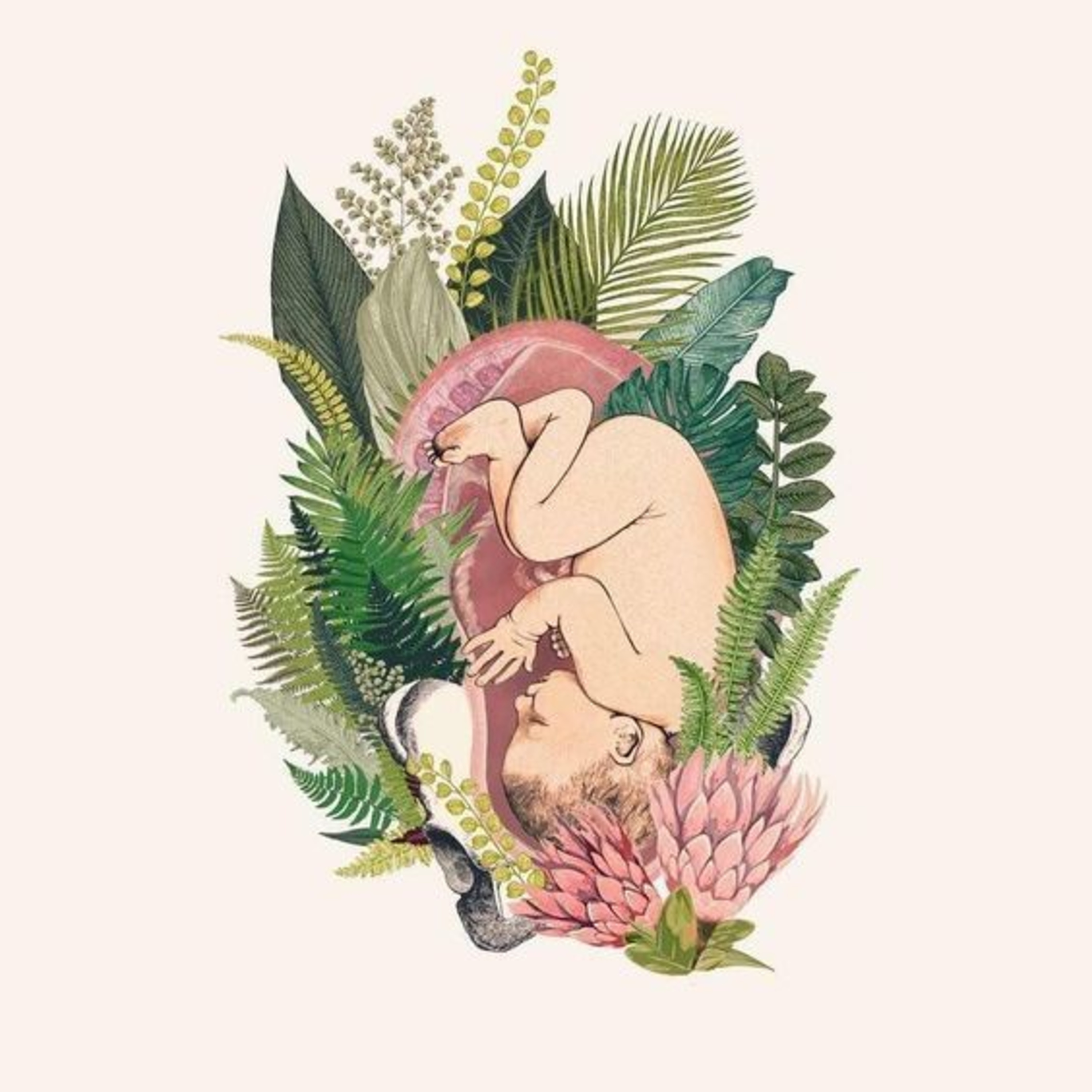 Introducción al desarrollo humano episode artwork