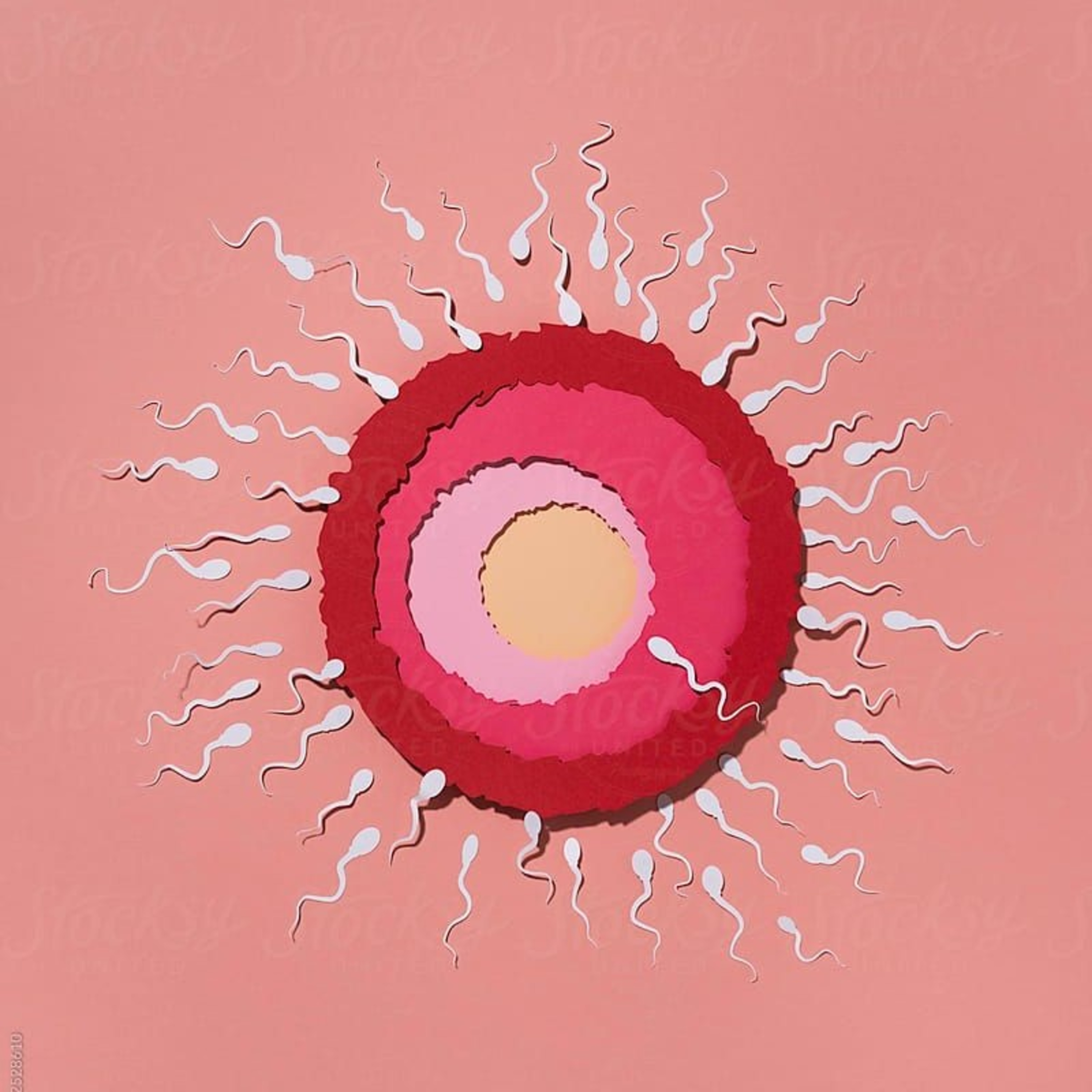 Fecundación episode artwork