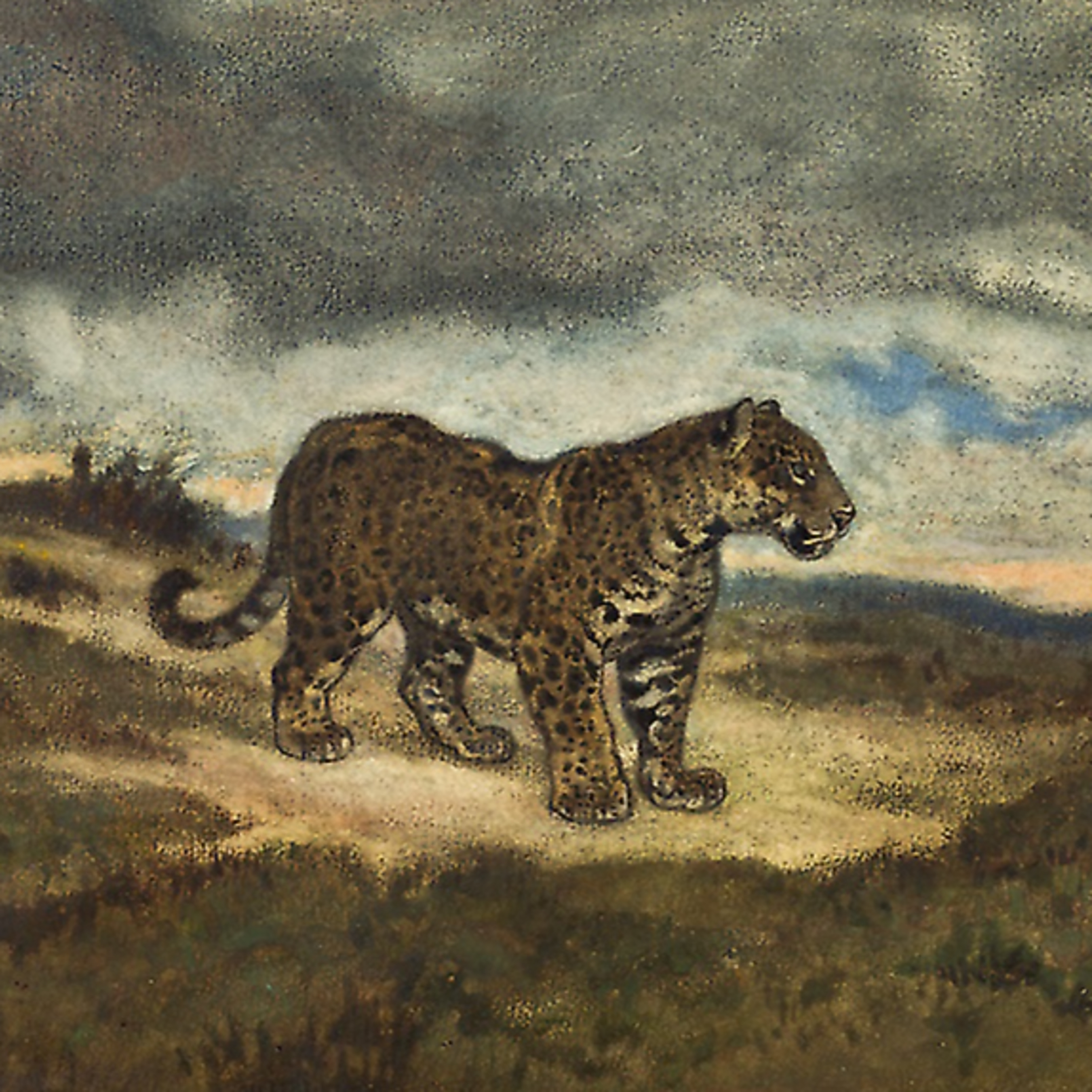 El Tigre de la Banda Oriental episode artwork