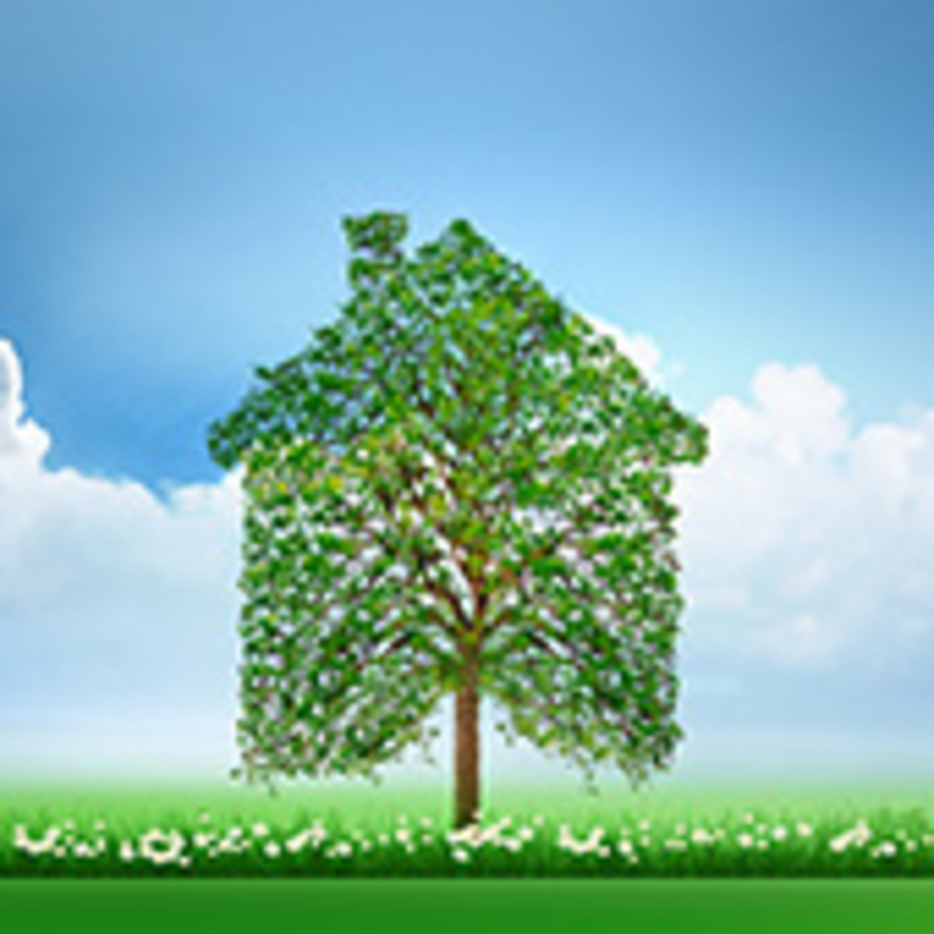 MAISON DURABLE