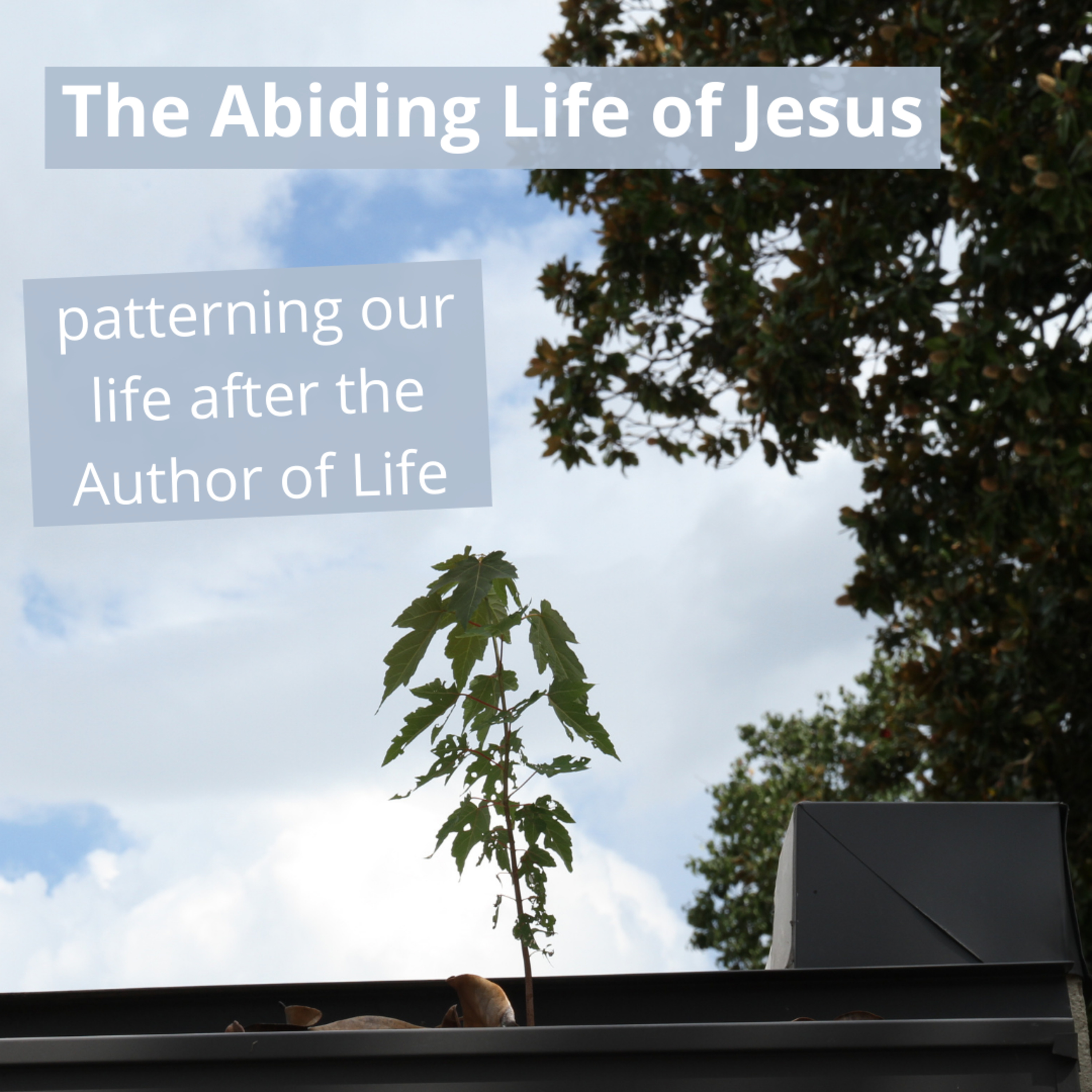 The Abiding Life in Jesus (9/19/21) episode artwork