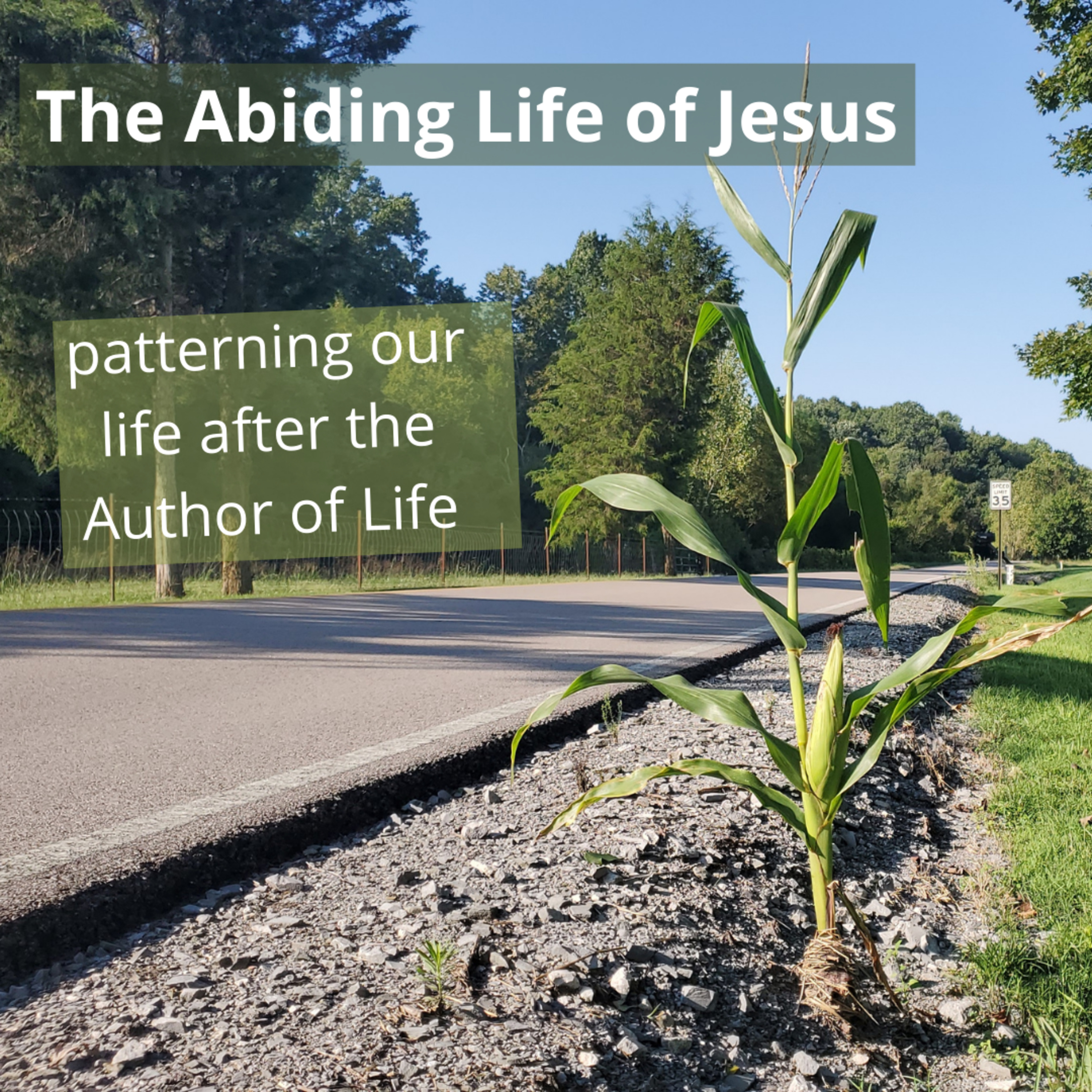 The Abiding Life of Jesus (9/26/21) episode artwork