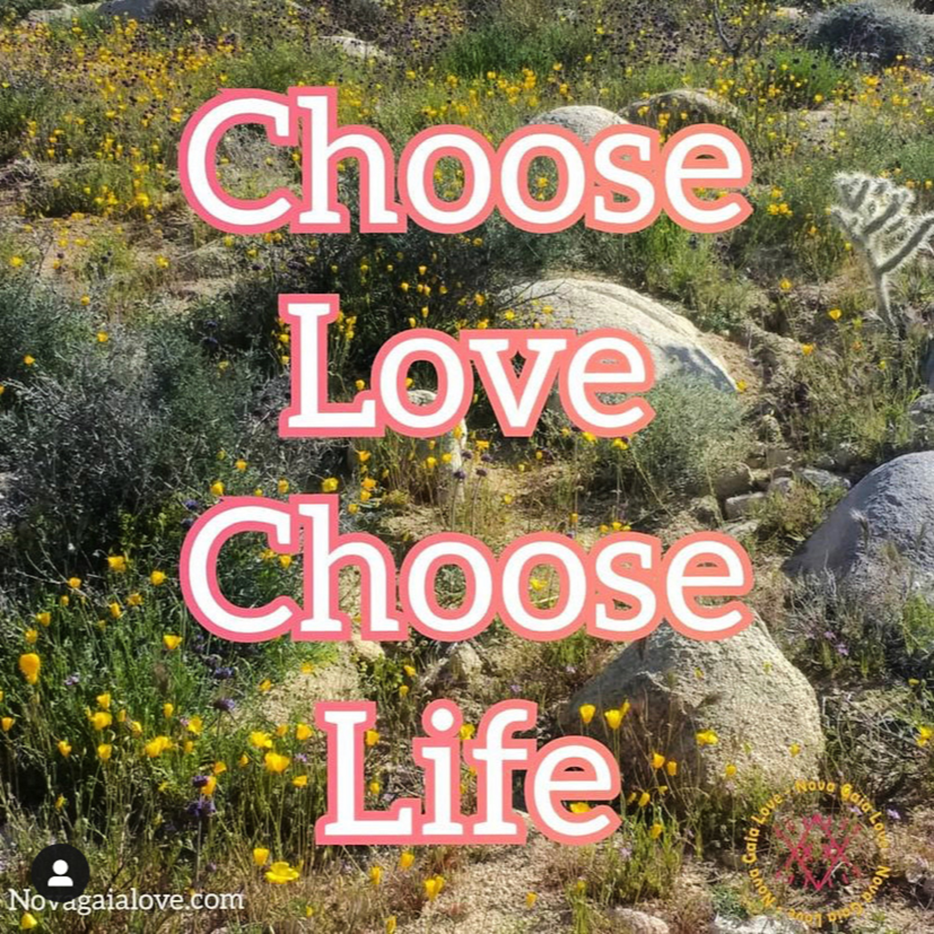 The New Age of Love