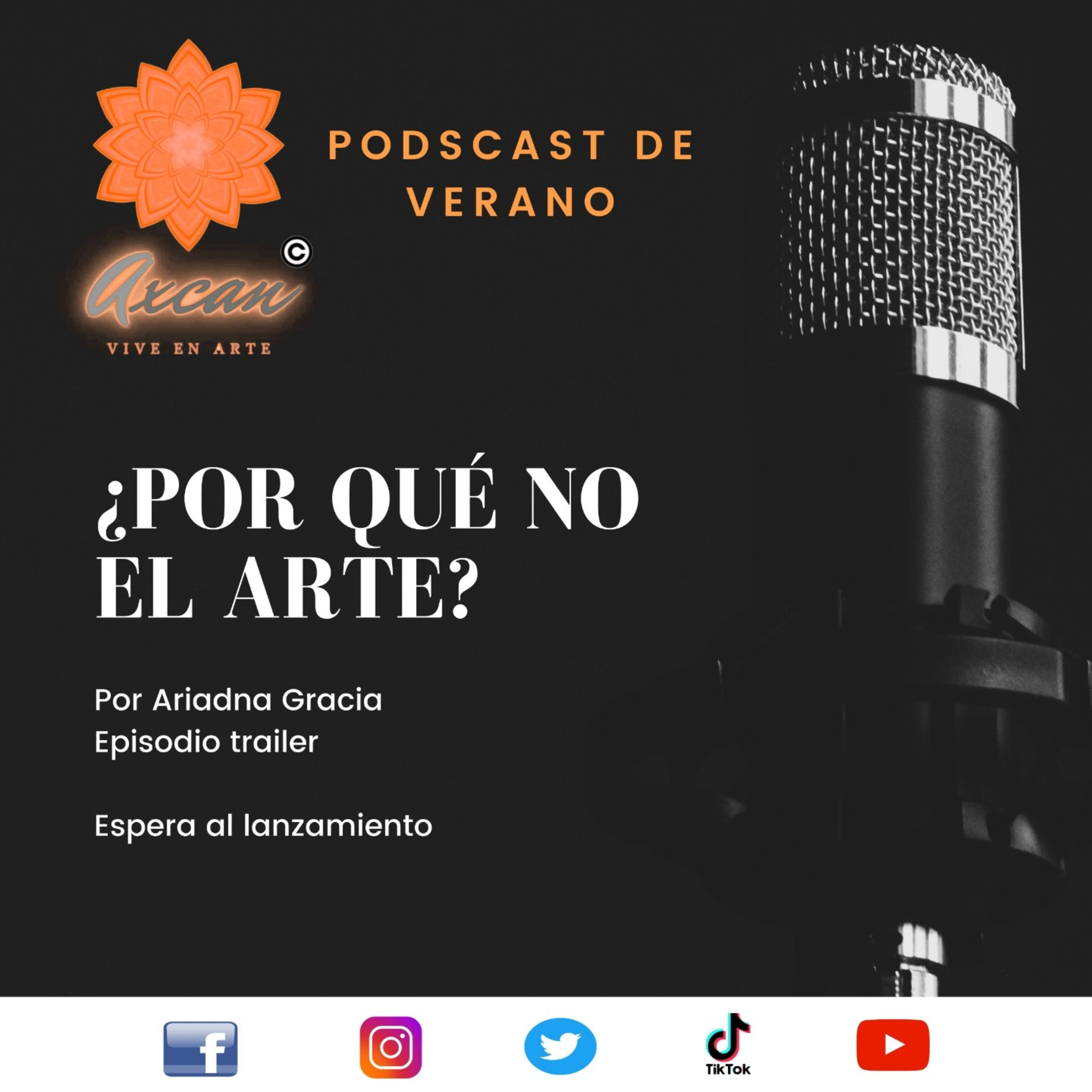 ¿Por qué no el arte? de Arte Axcan