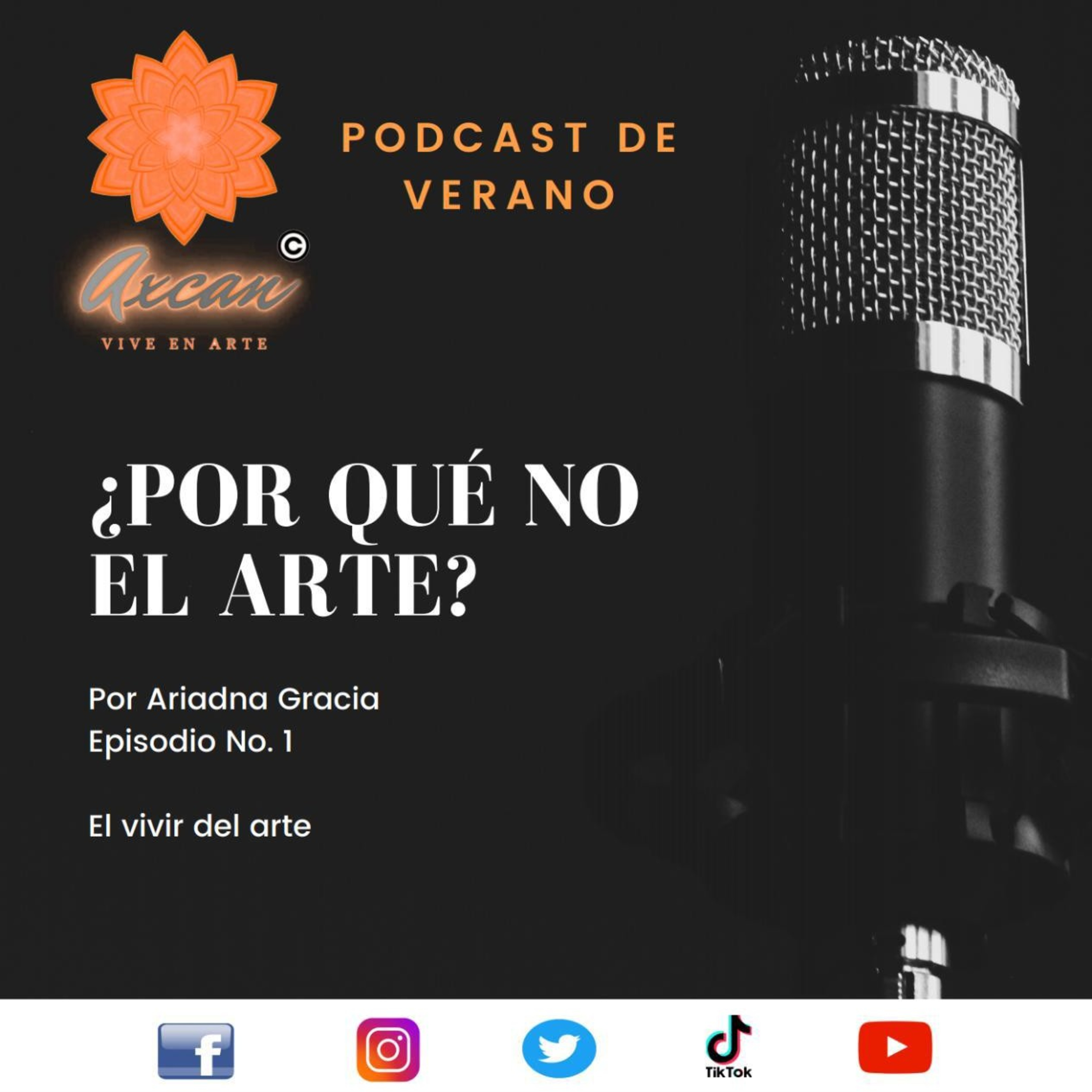 ¿Por qué no el arte? de Arte Axcan