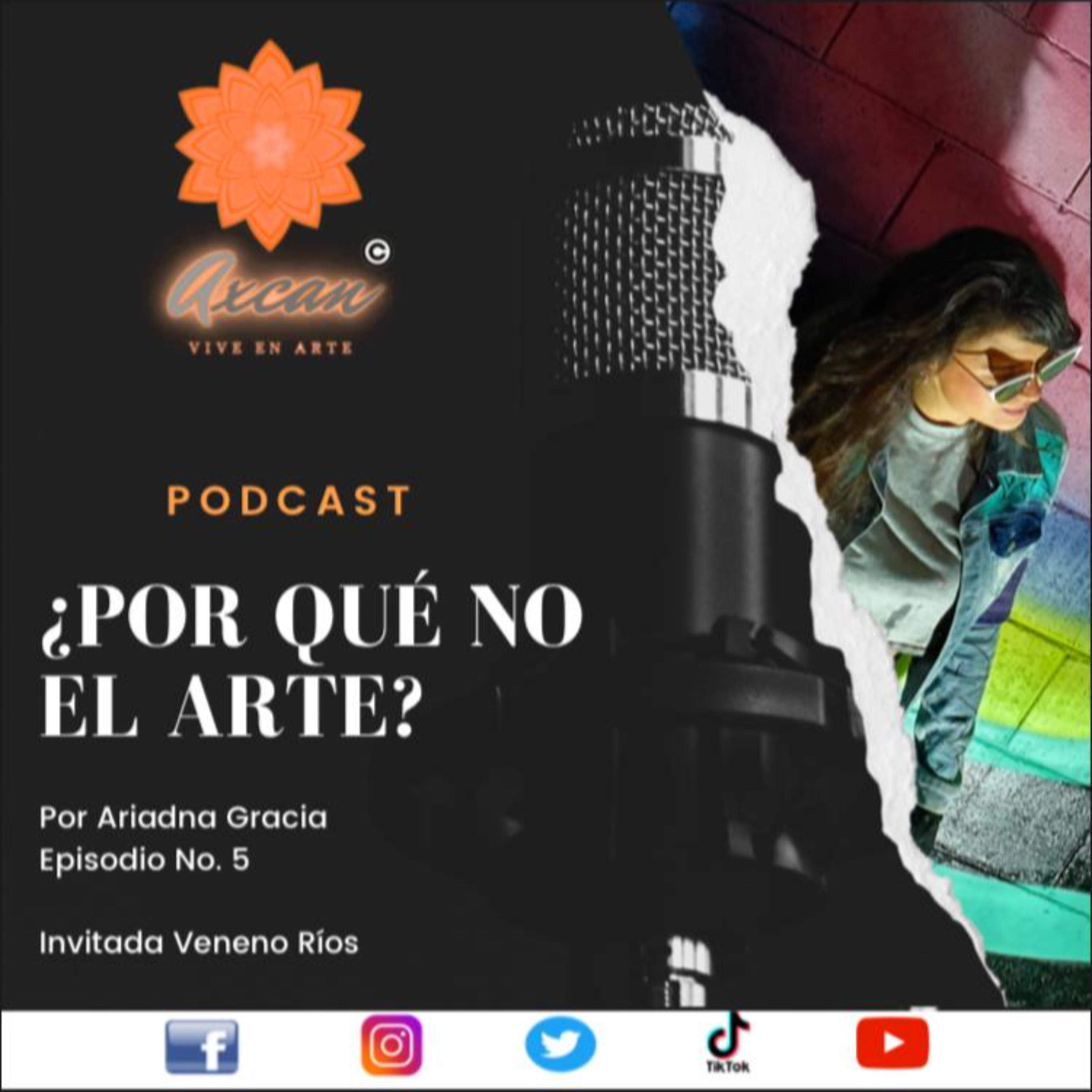 ¿Por qué no el arte? de Arte Axcan