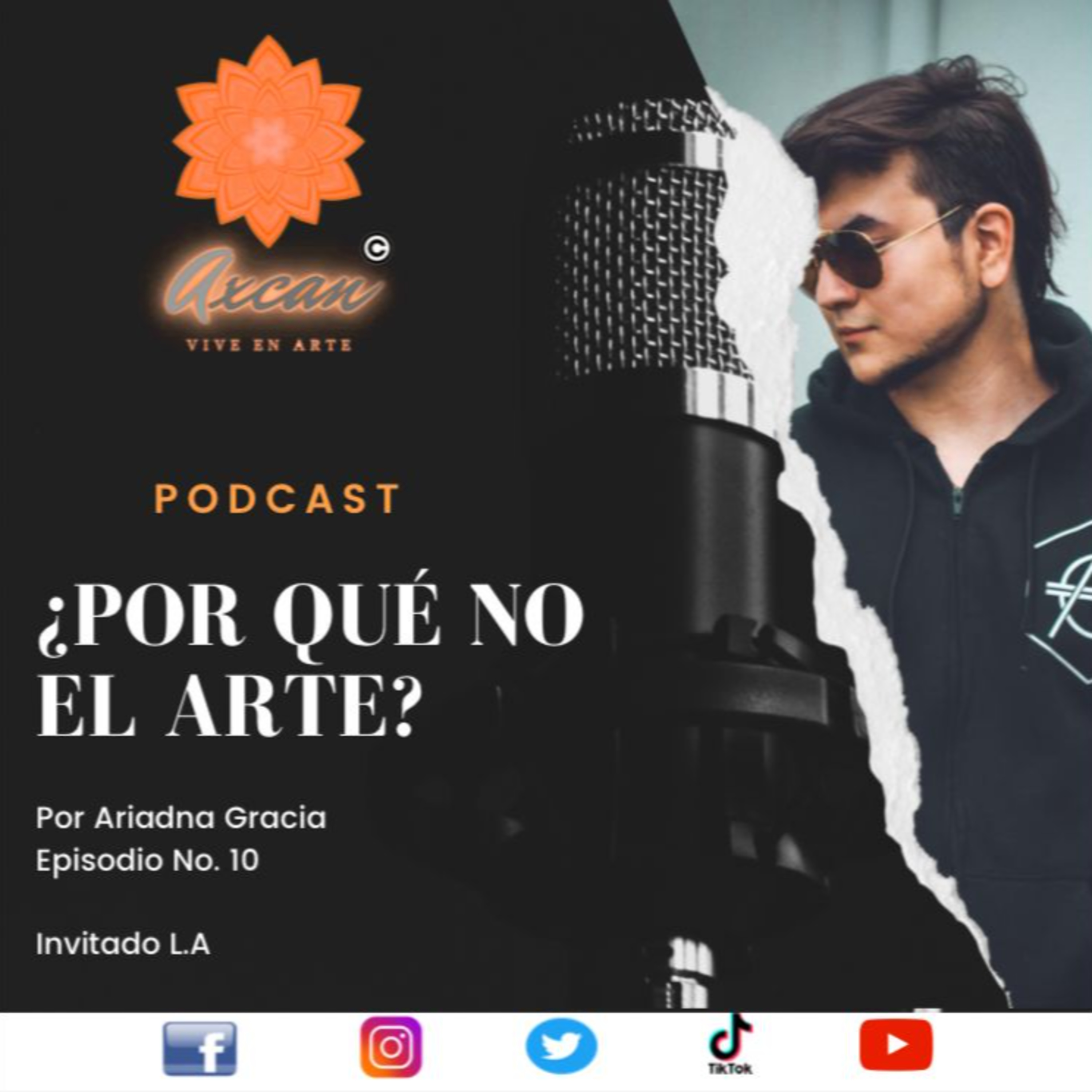 ¿Por qué no el arte? de Arte Axcan