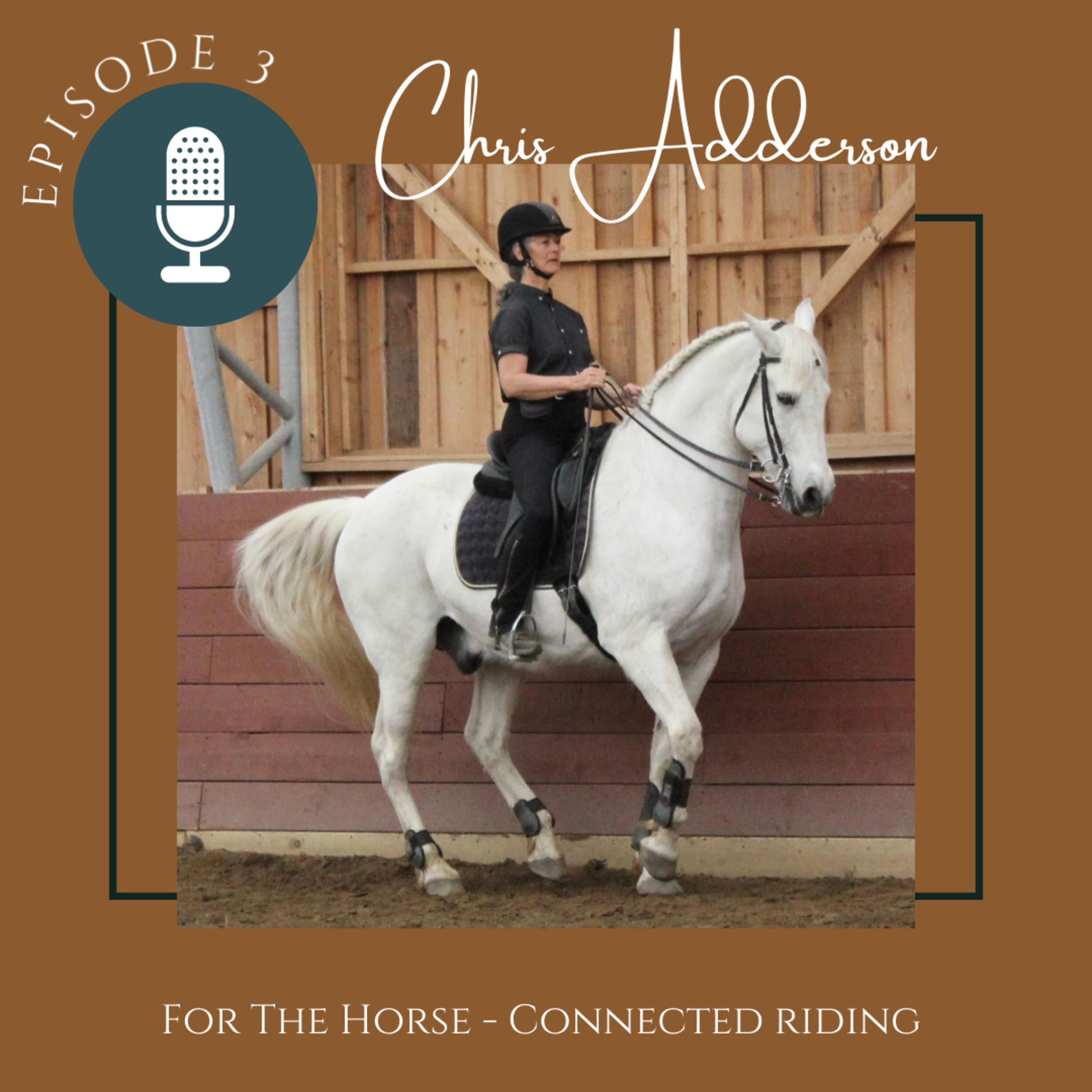The Equine Collective