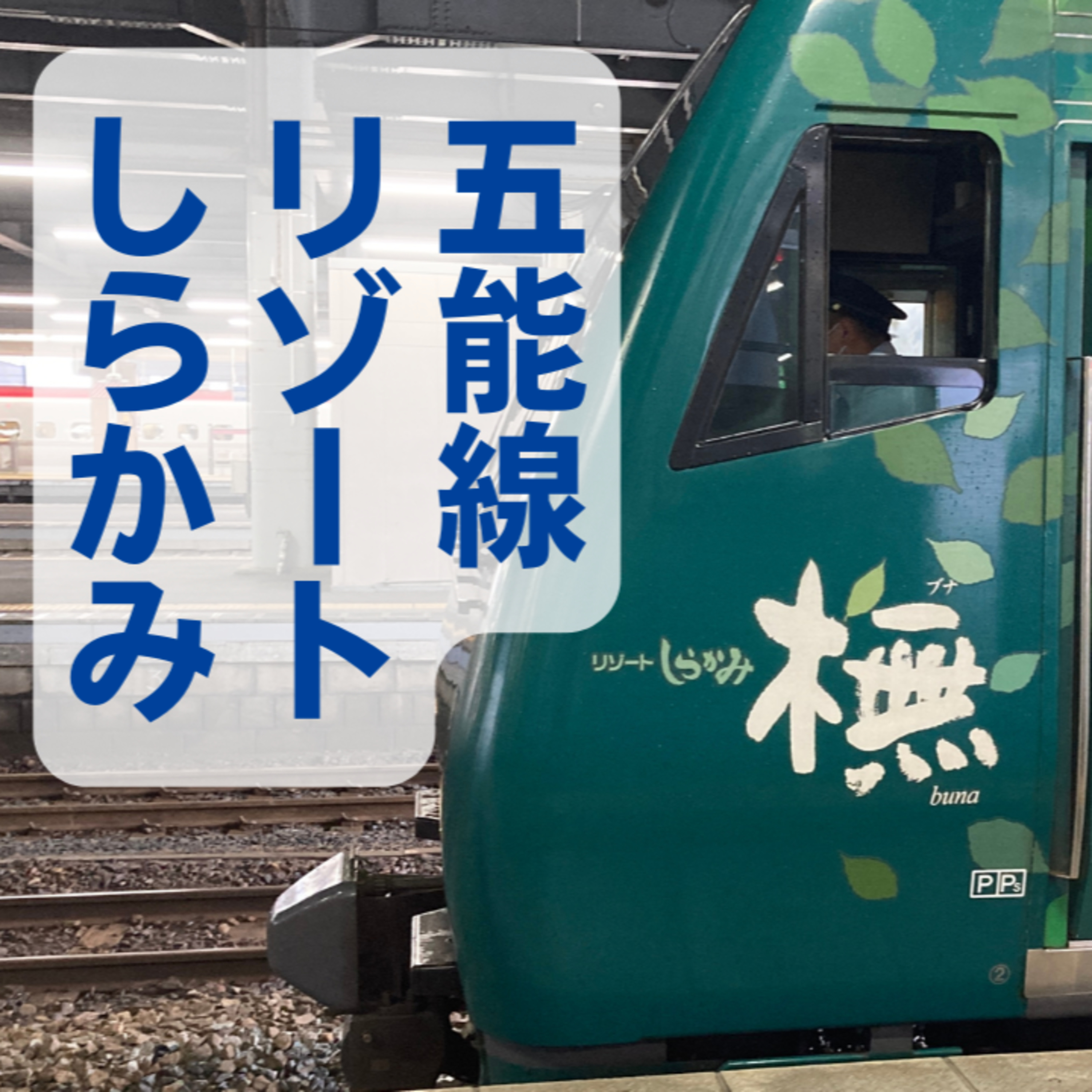 五能線のリゾートしらかみ３編成に乗ってきた