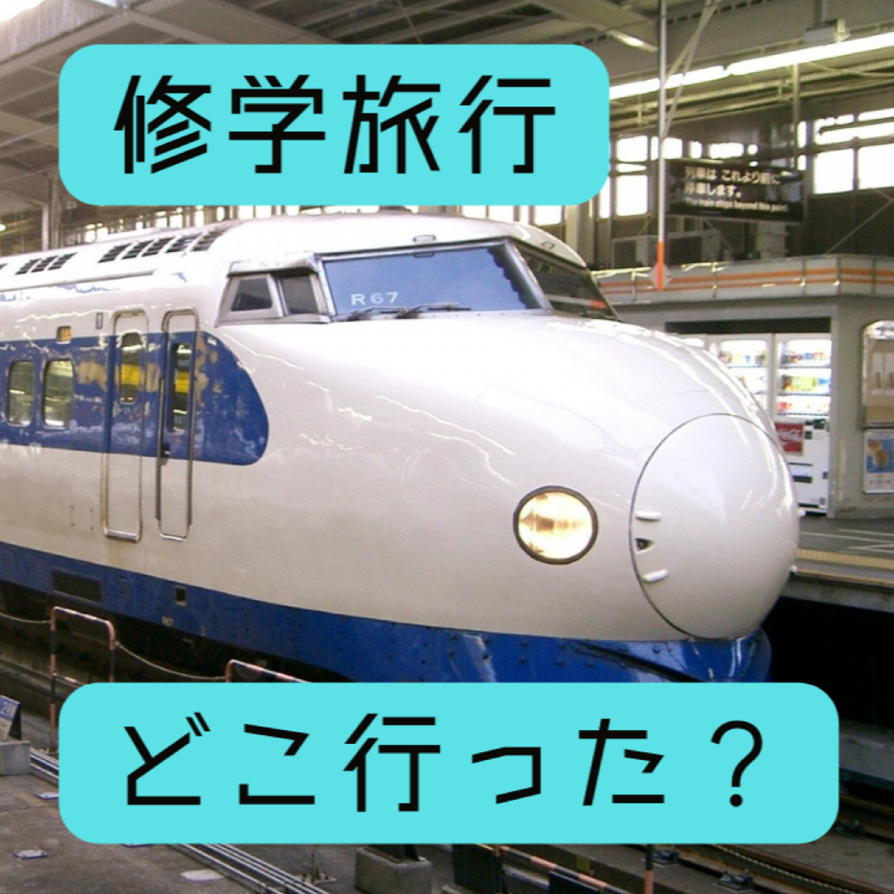 修学旅行、どこ行った？