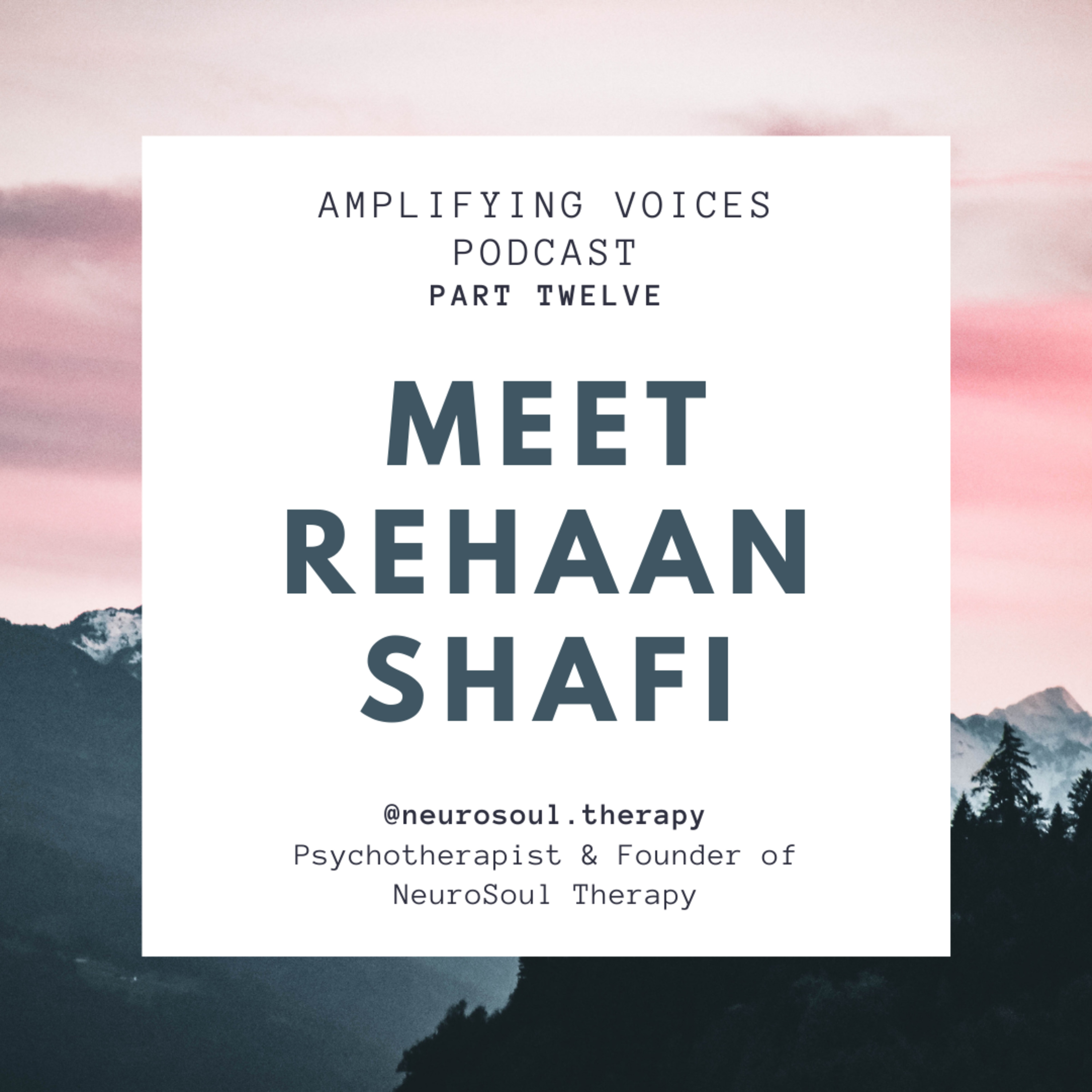 Amplifying Voices