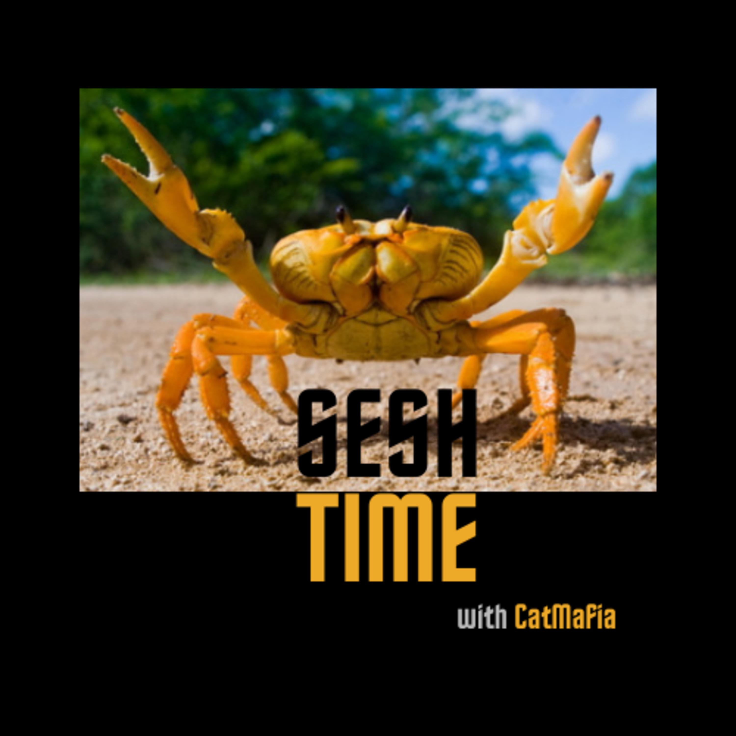 SeshTime with CatMafia