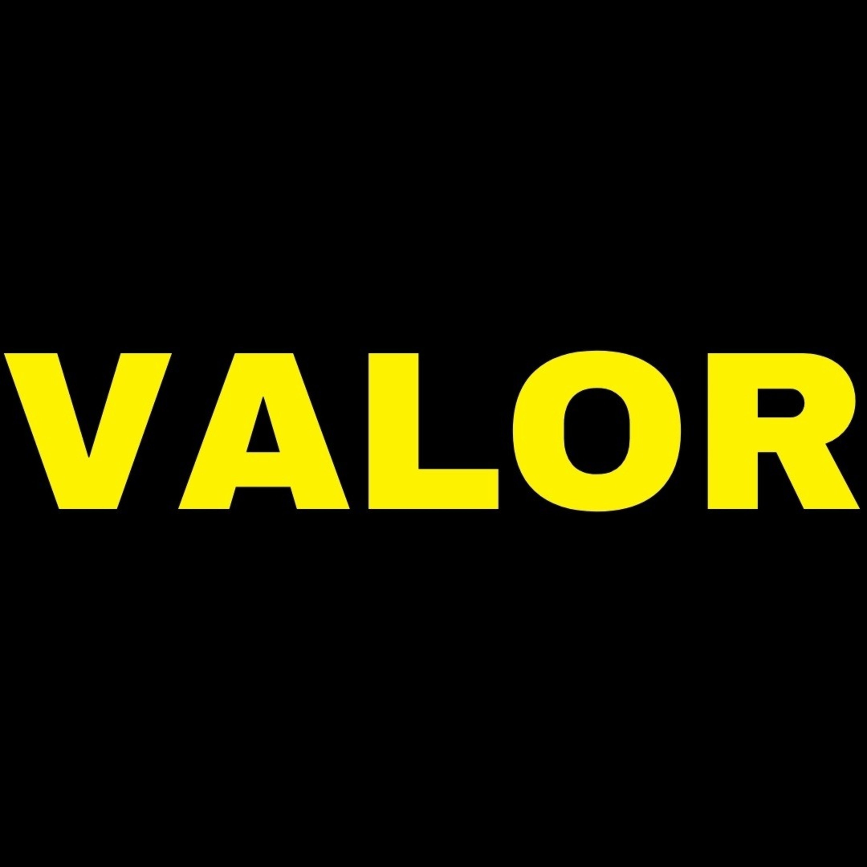 VALOR episode artwork