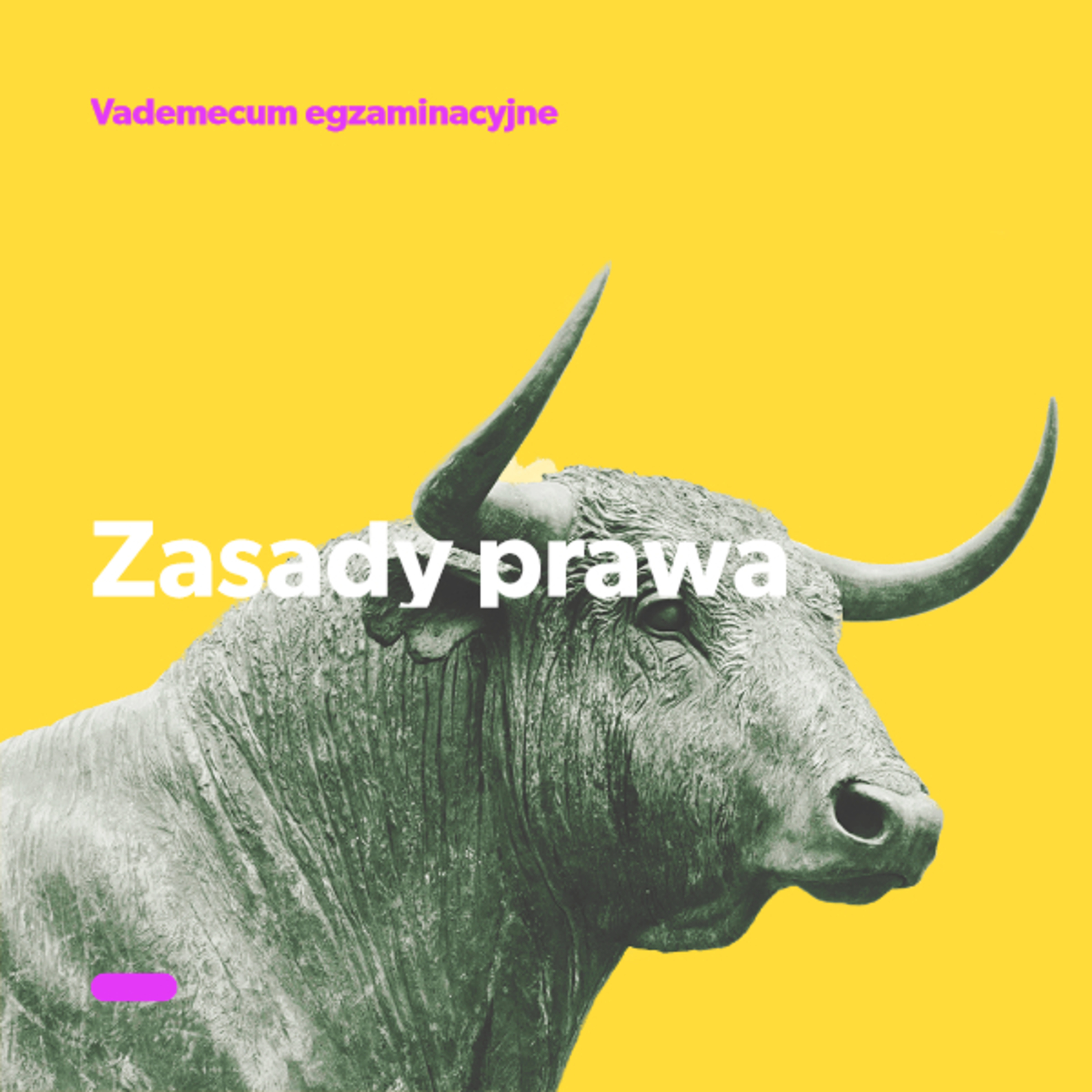 Zasady prawa - Vademecum egzaminacyjne episode artwork
