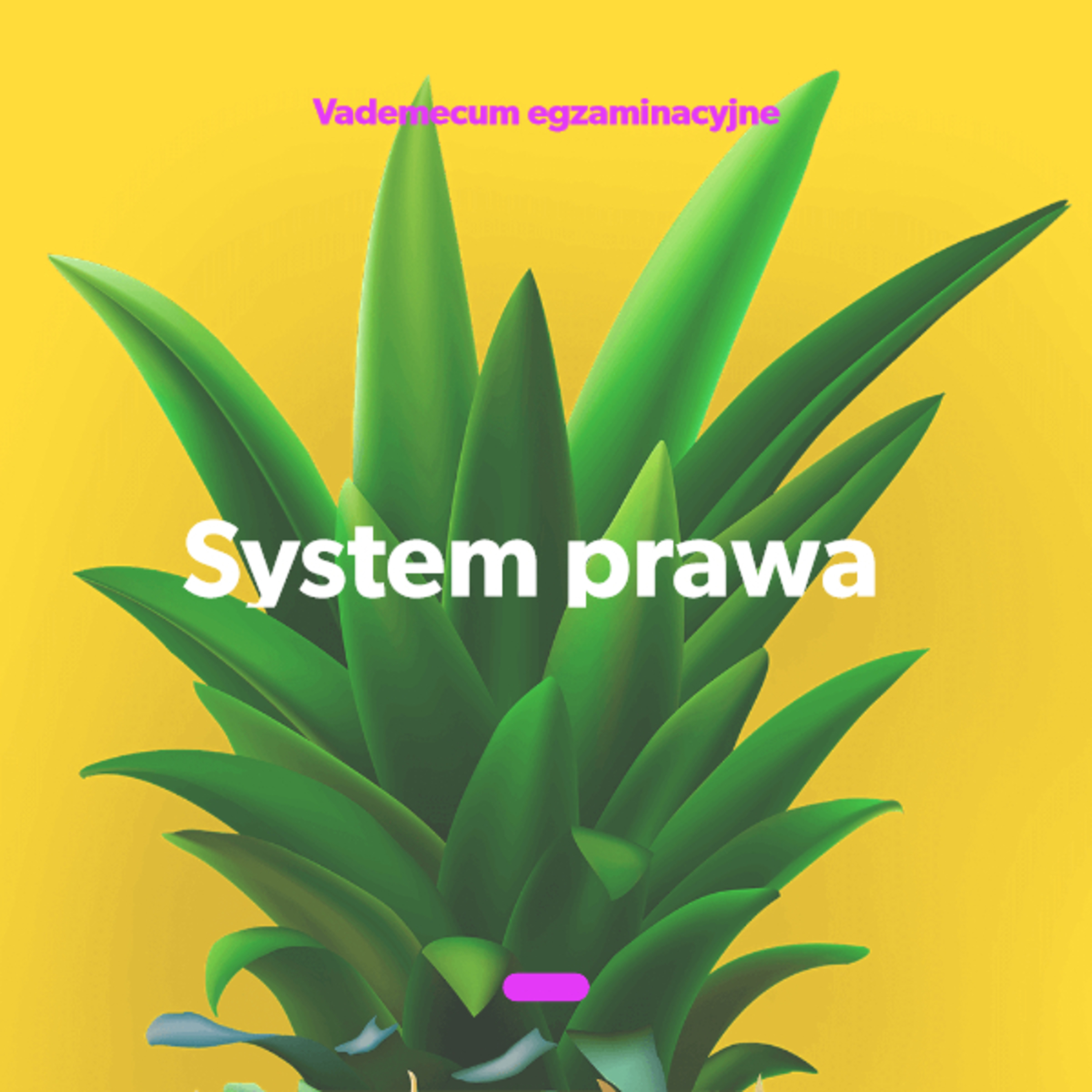 System prawa - Vademecum egzaminacyjne episode artwork