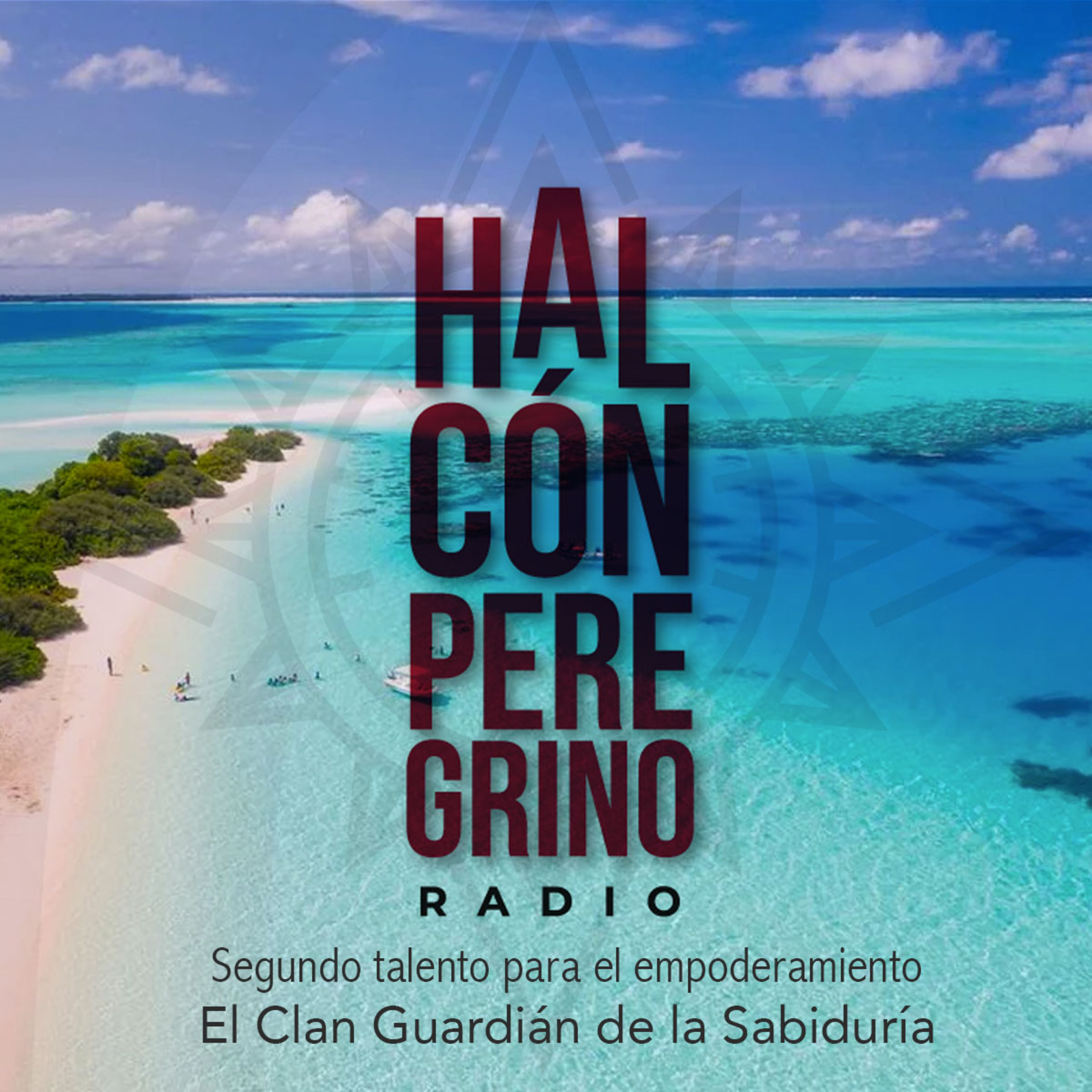 Halcón peregrino radio. Lanzamiento