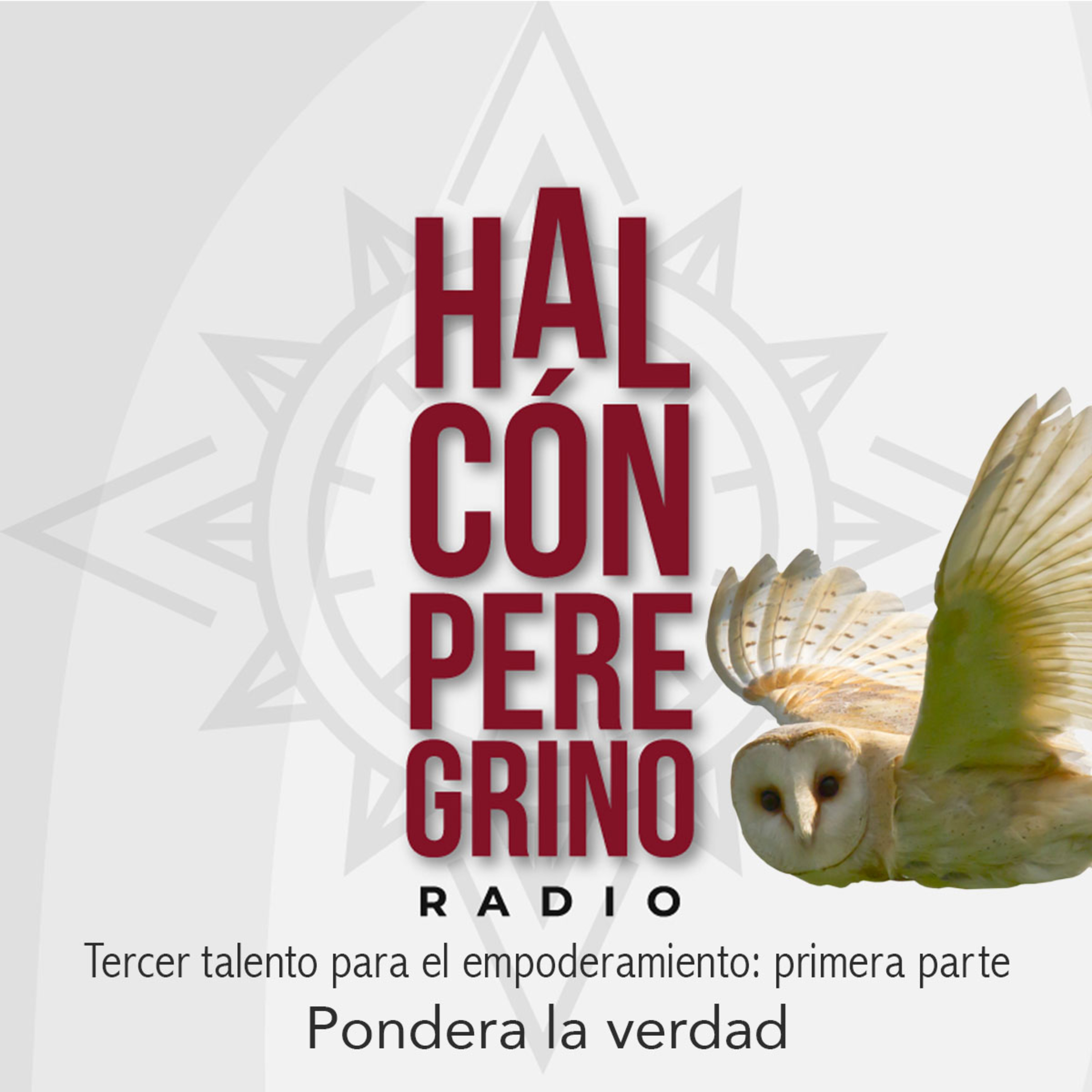 Halcón peregrino radio. Lanzamiento