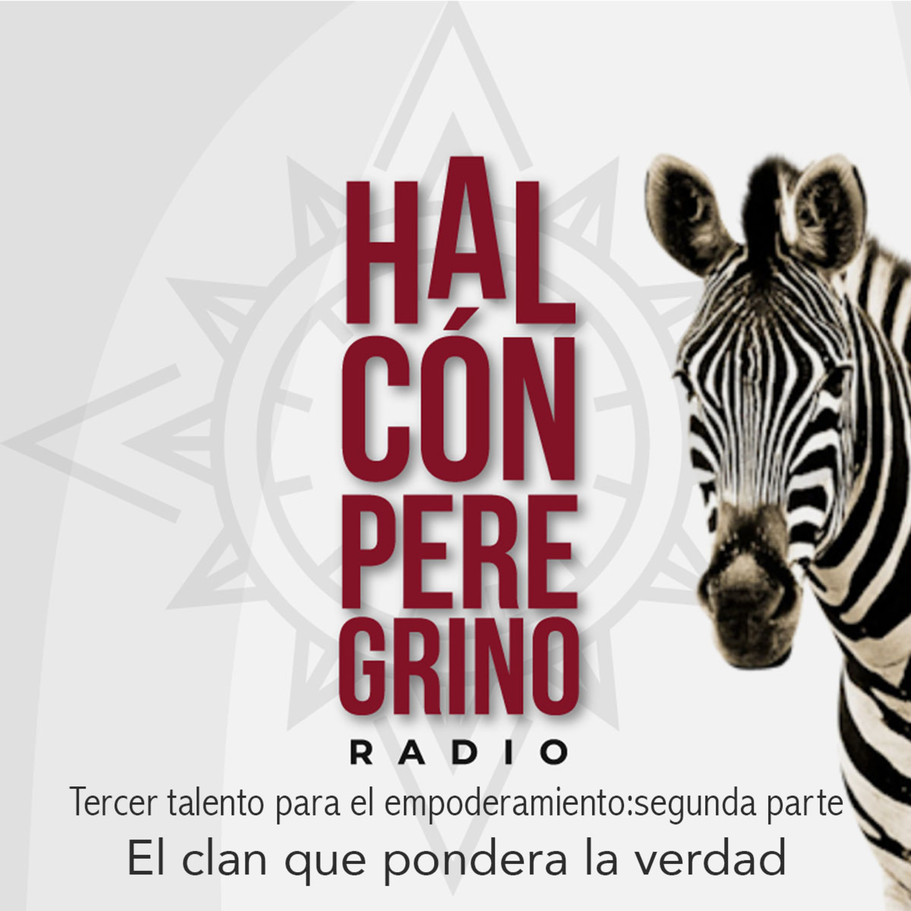 Halcón peregrino radio. Lanzamiento