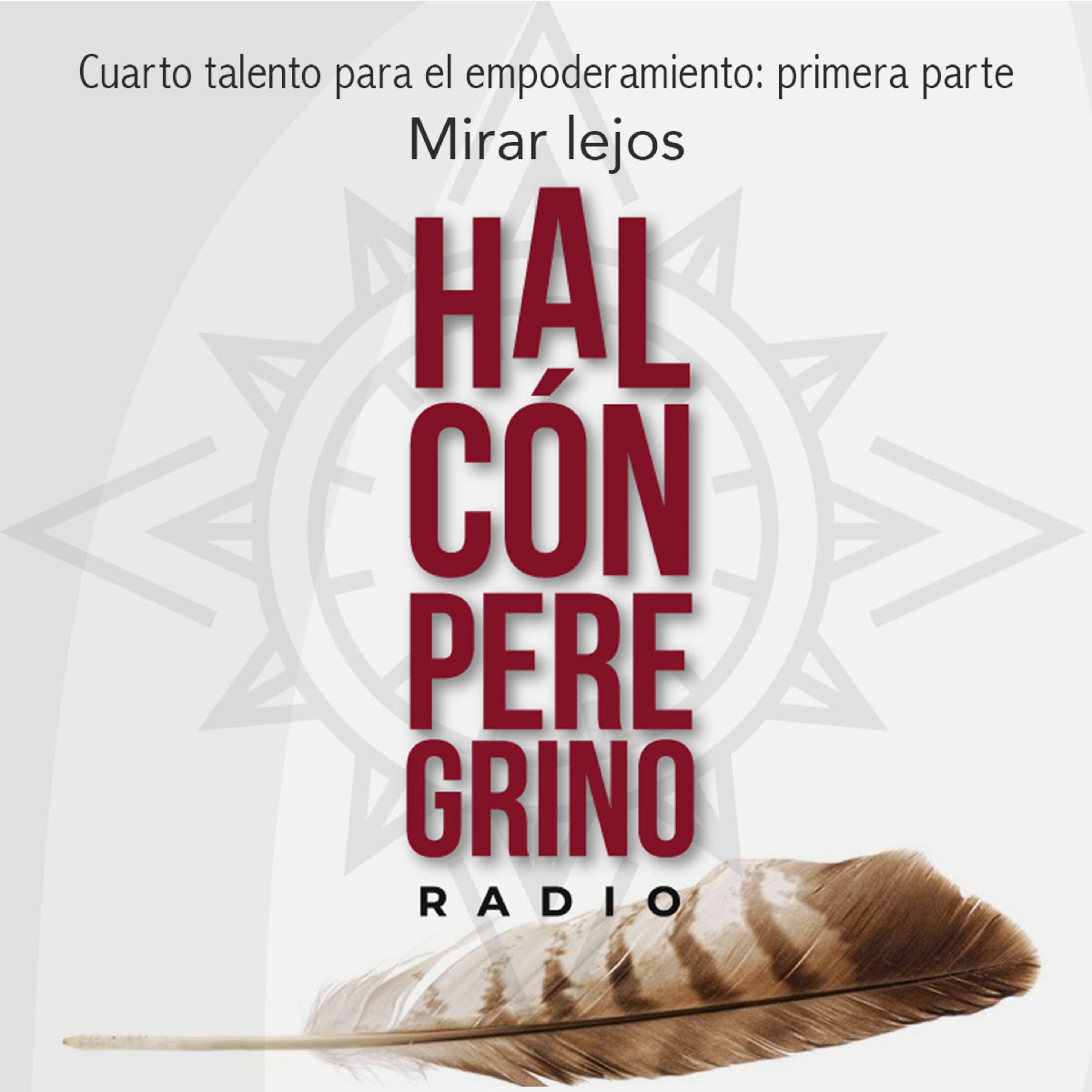 Halcón peregrino radio. Lanzamiento