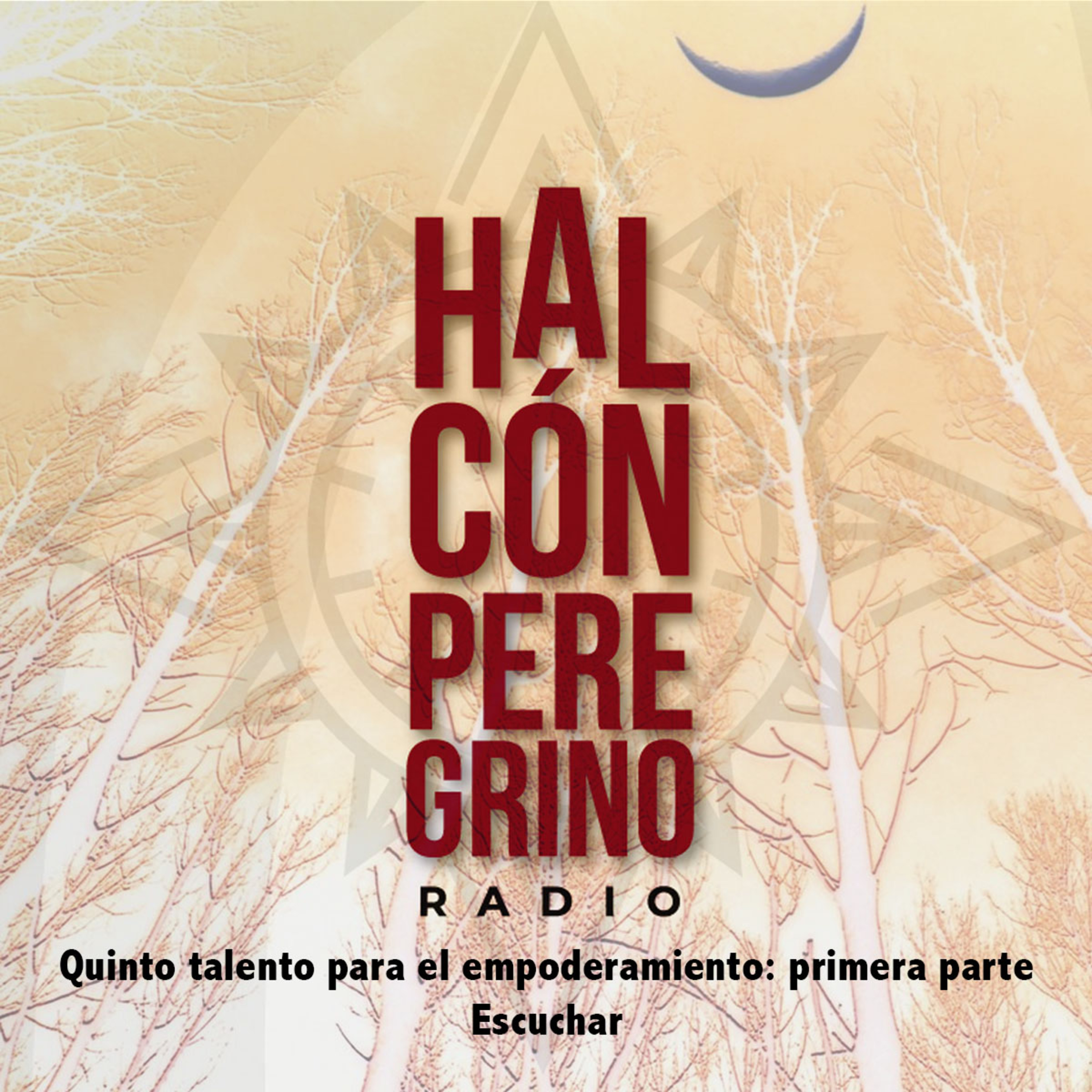 Halcón peregrino radio. Lanzamiento