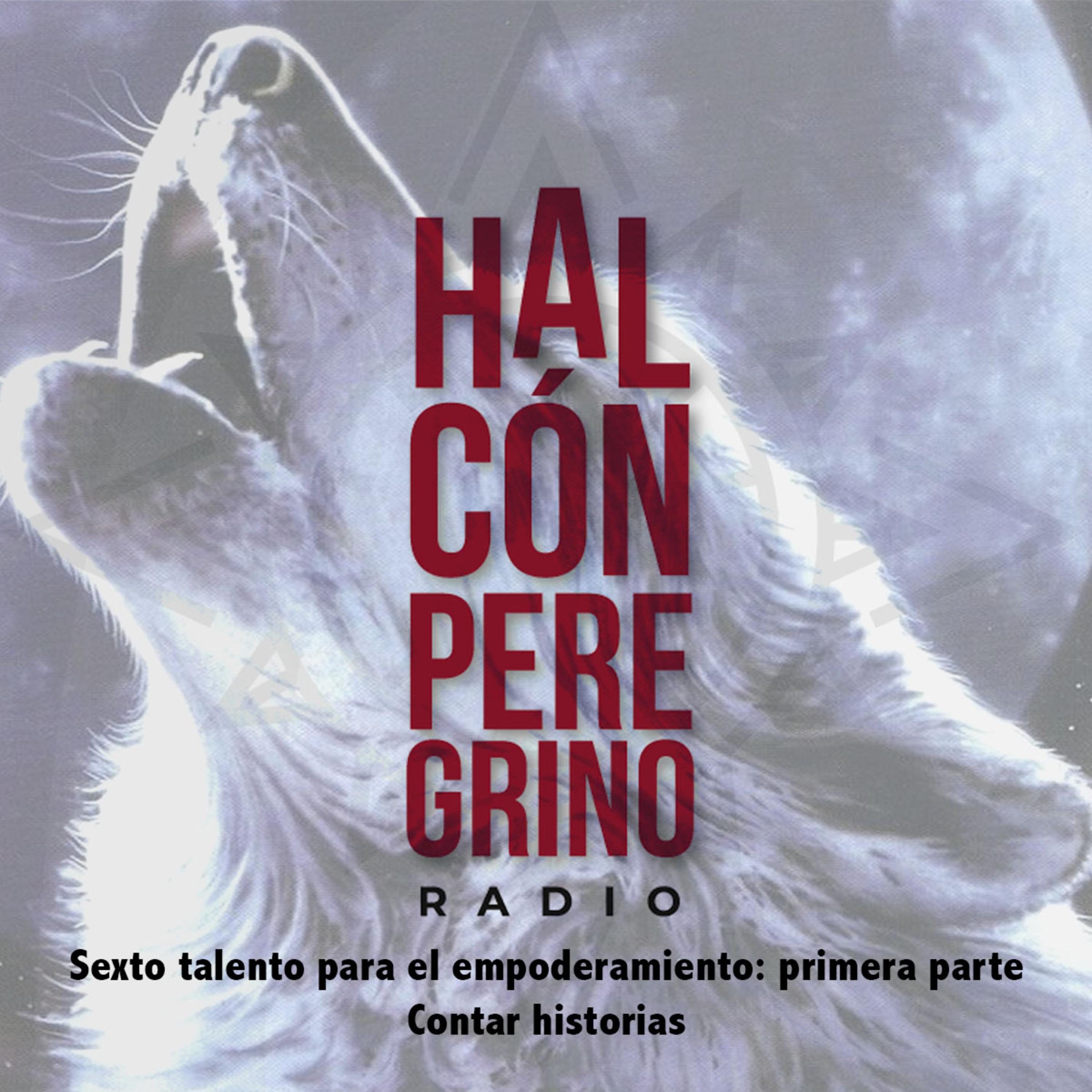 Halcón peregrino radio. Lanzamiento