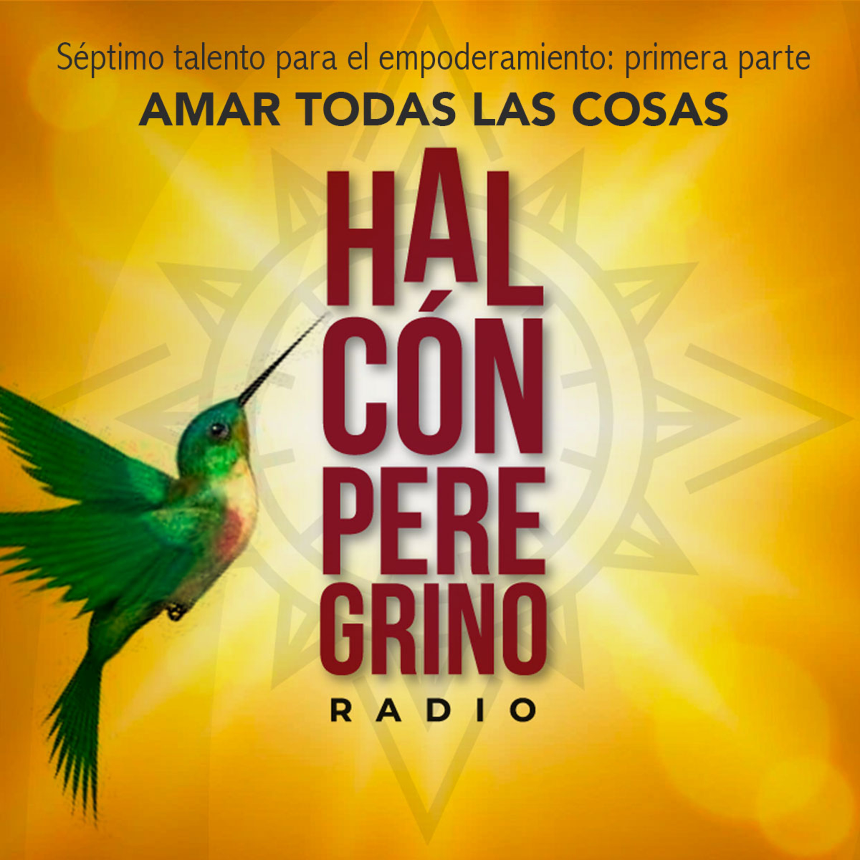 Halcón peregrino radio. Lanzamiento