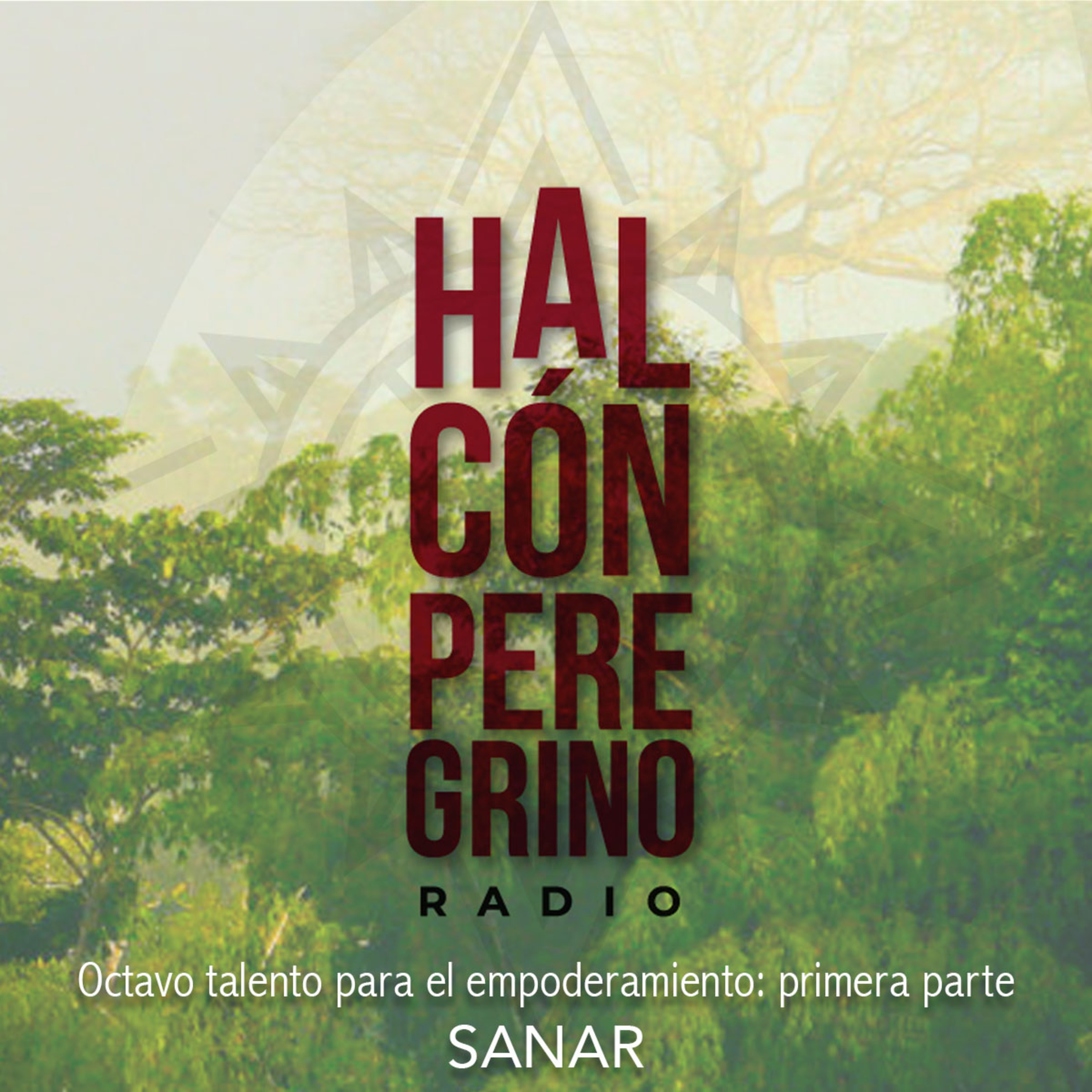 Halcón peregrino radio. Lanzamiento