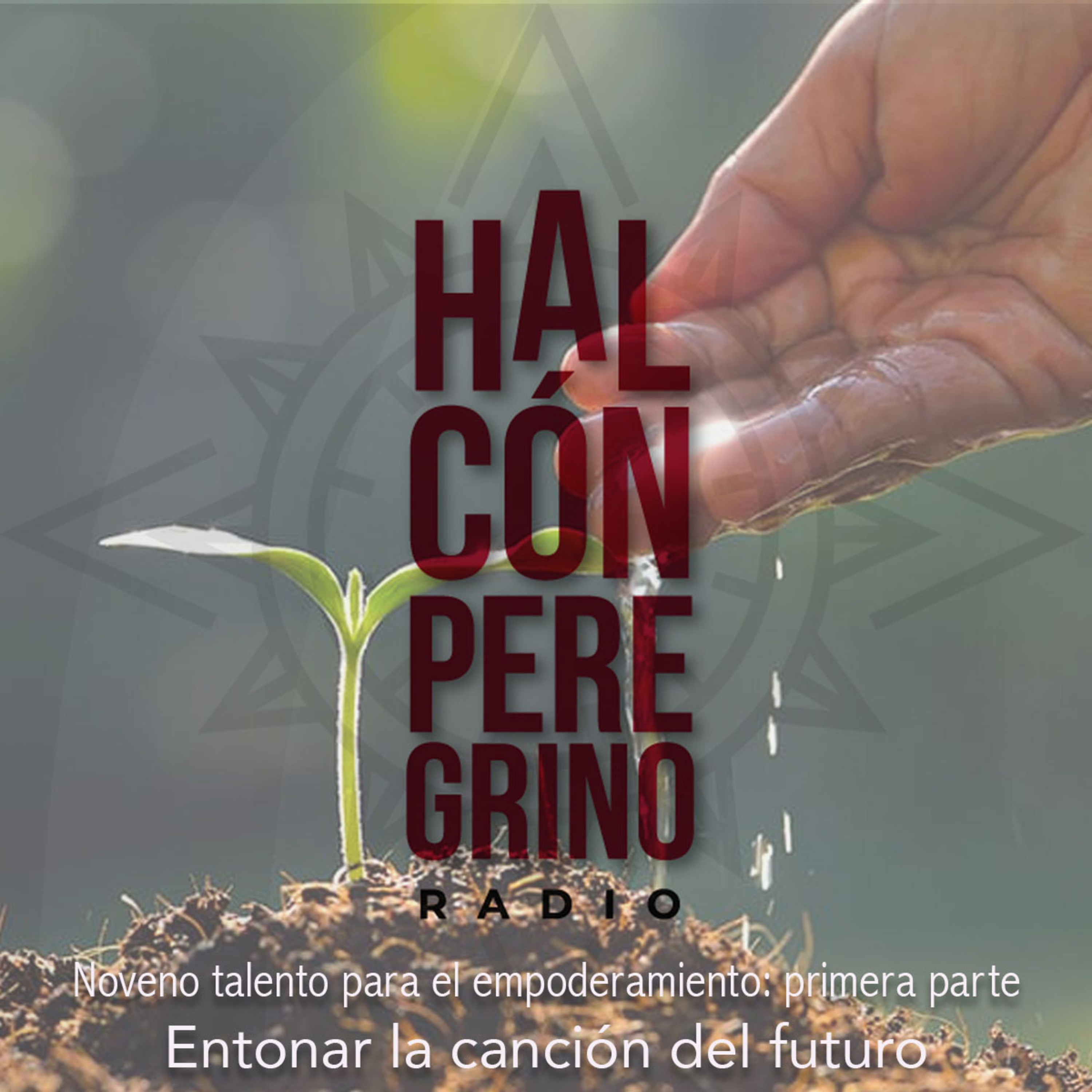 Halcón peregrino radio. Lanzamiento
