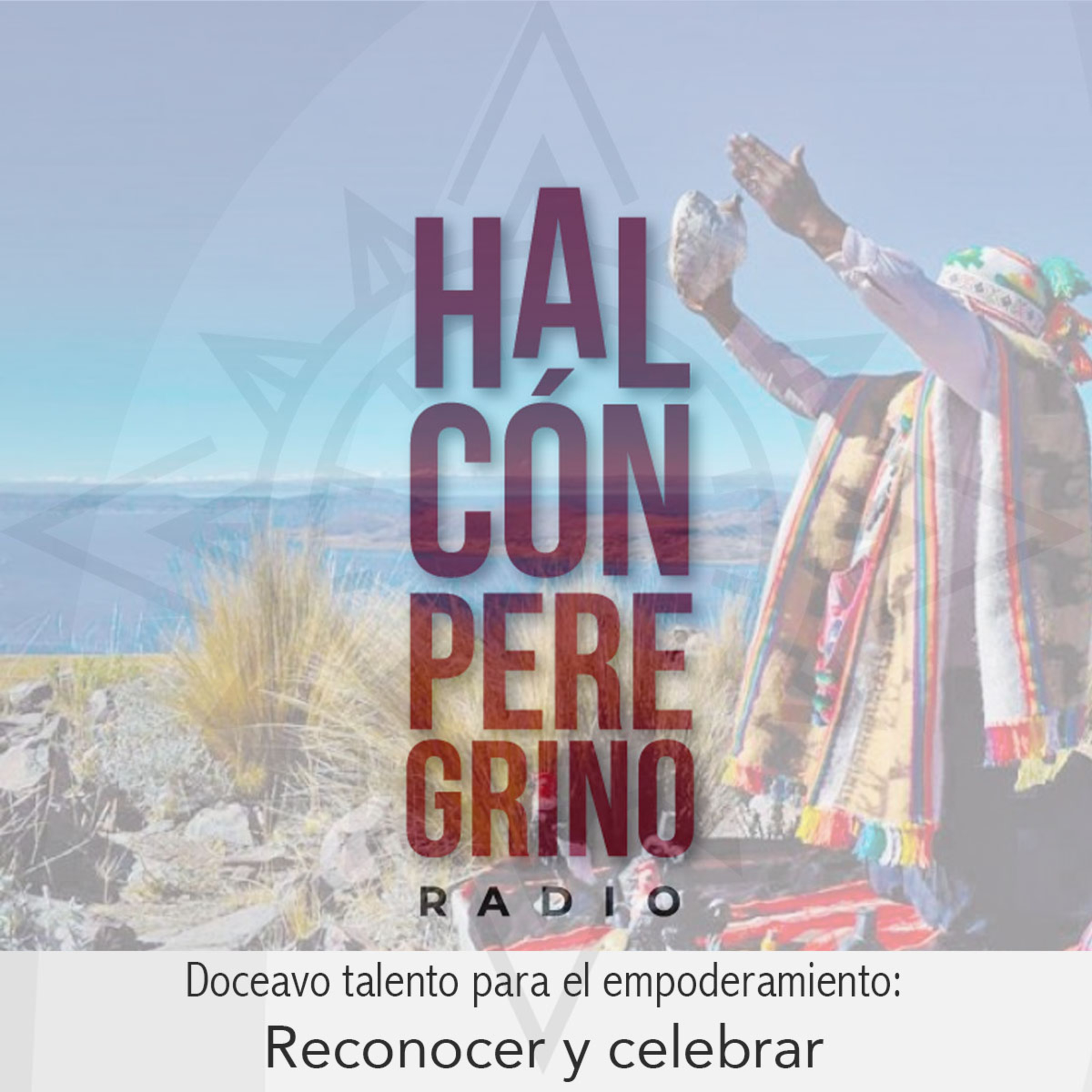 Halcón peregrino radio. Lanzamiento