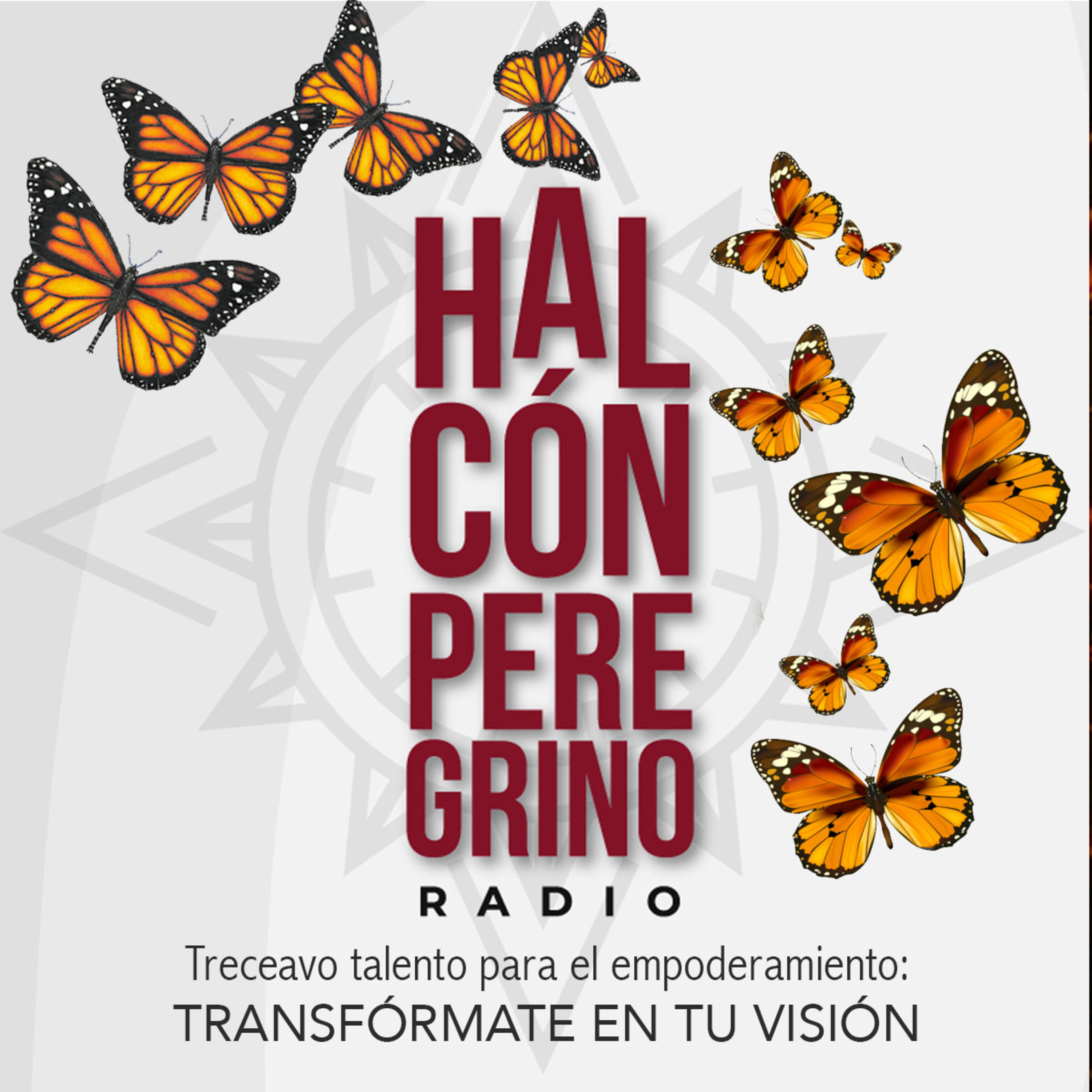 Halcón peregrino radio. Lanzamiento