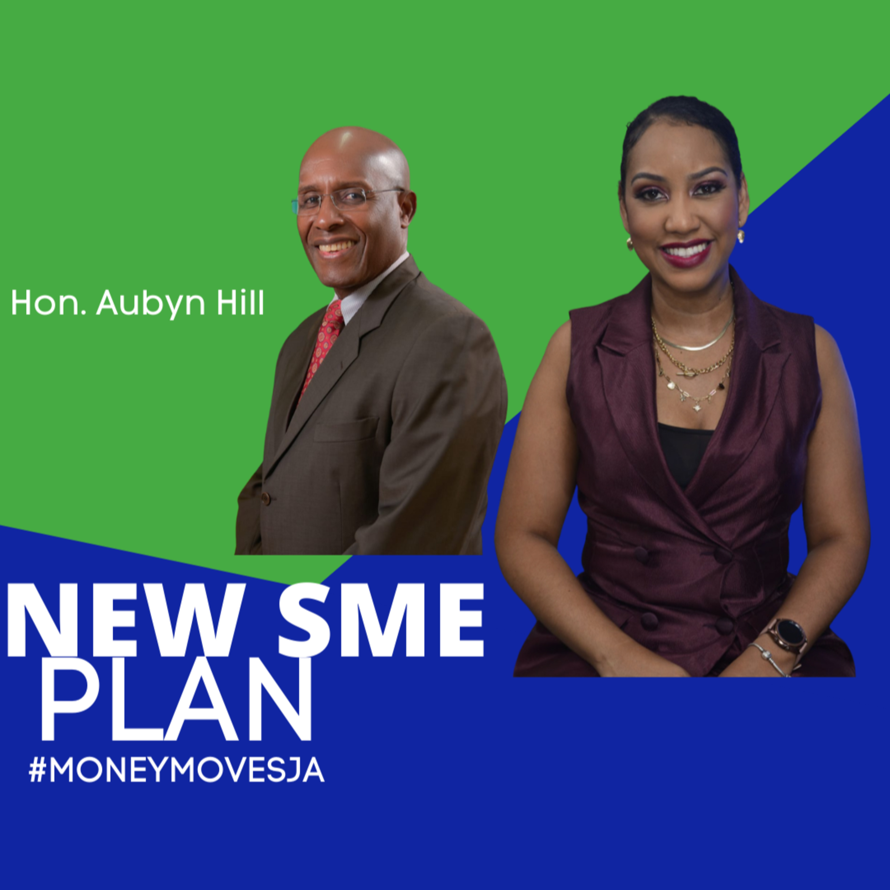  #MoneyMovesJa - New Business Minister SME Plan episode artwork