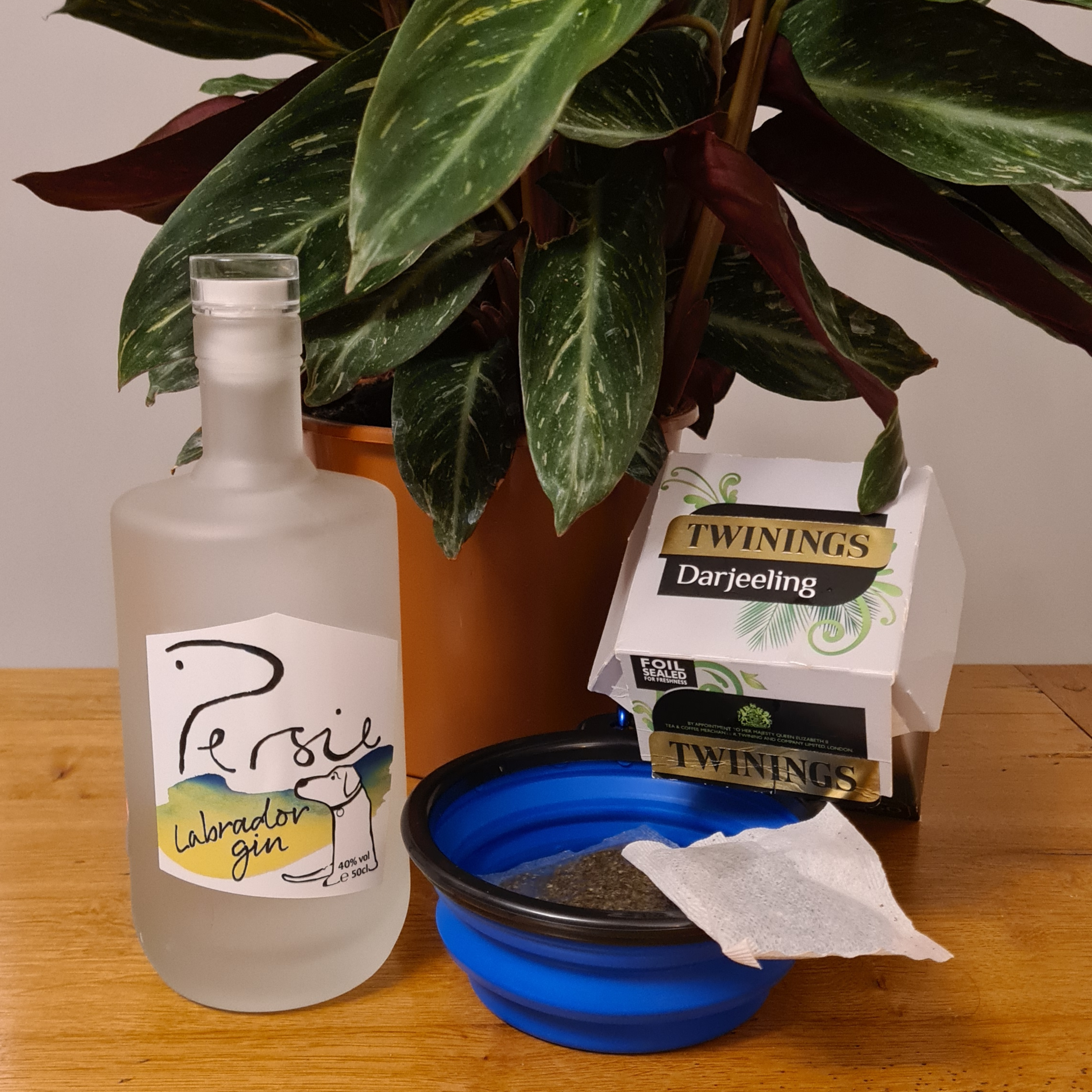 Gin & Tea