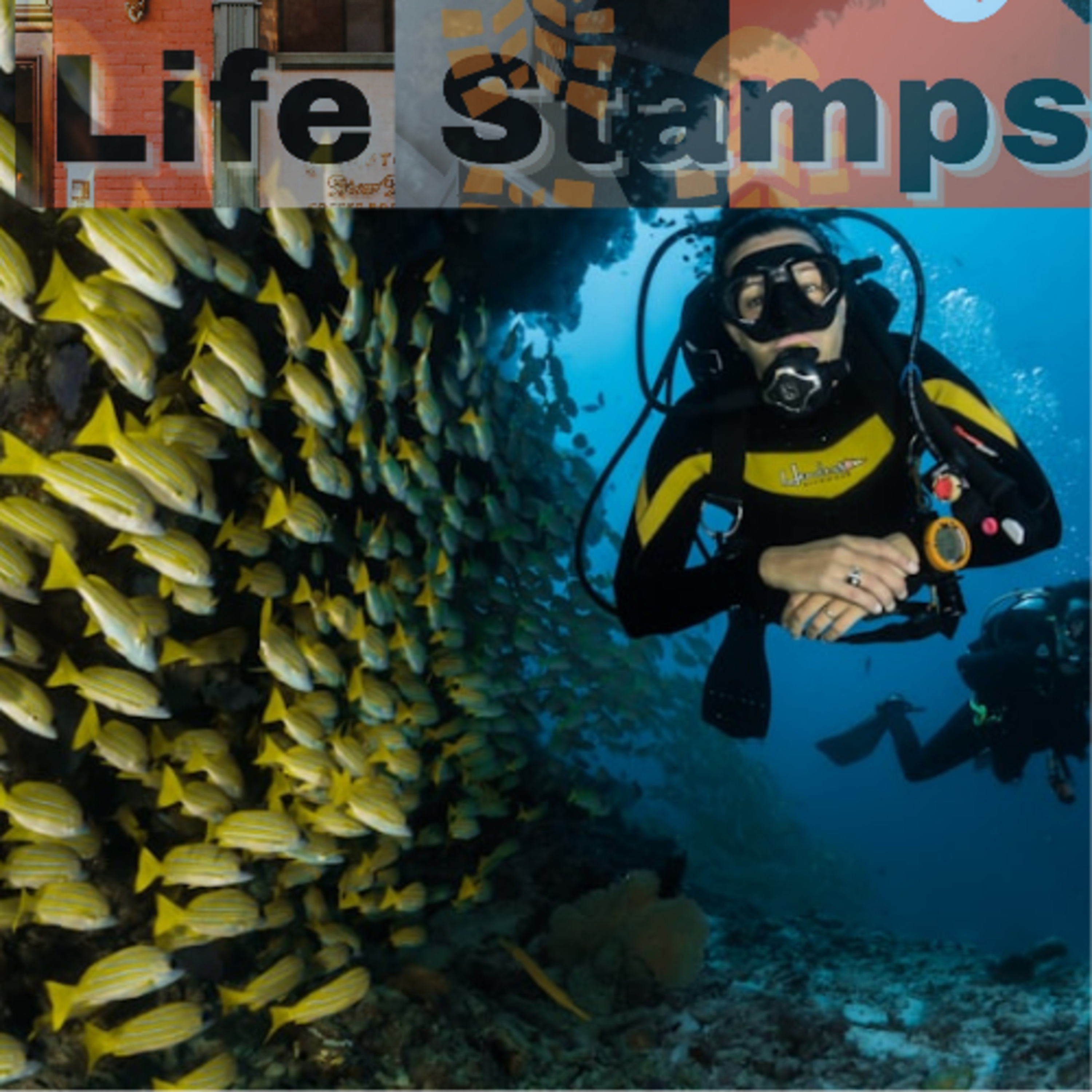 Eco Diving in The Seychelles