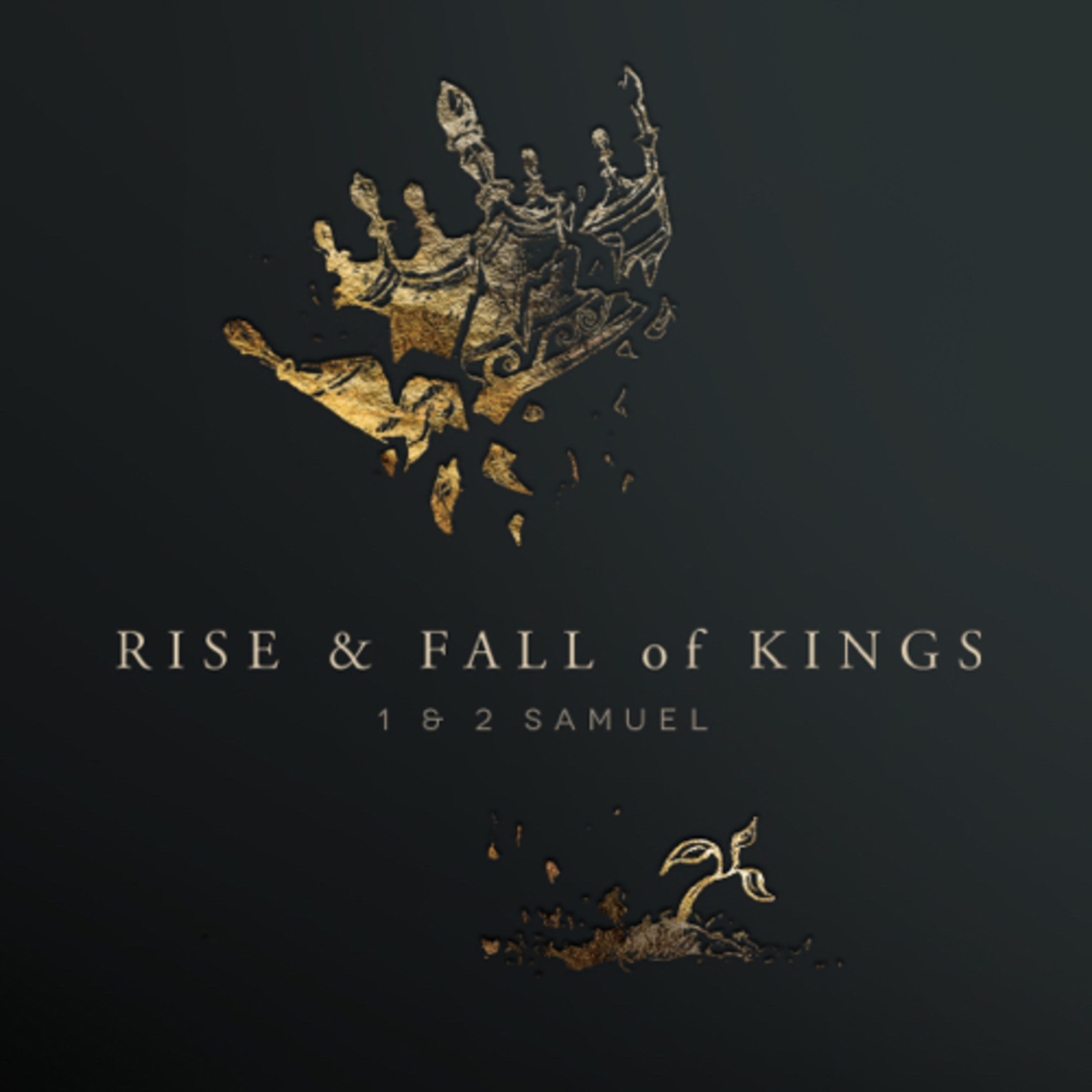 Rise & Fall of Kings (1-2 Samuel) | A Man After His Own Heart episode artwork