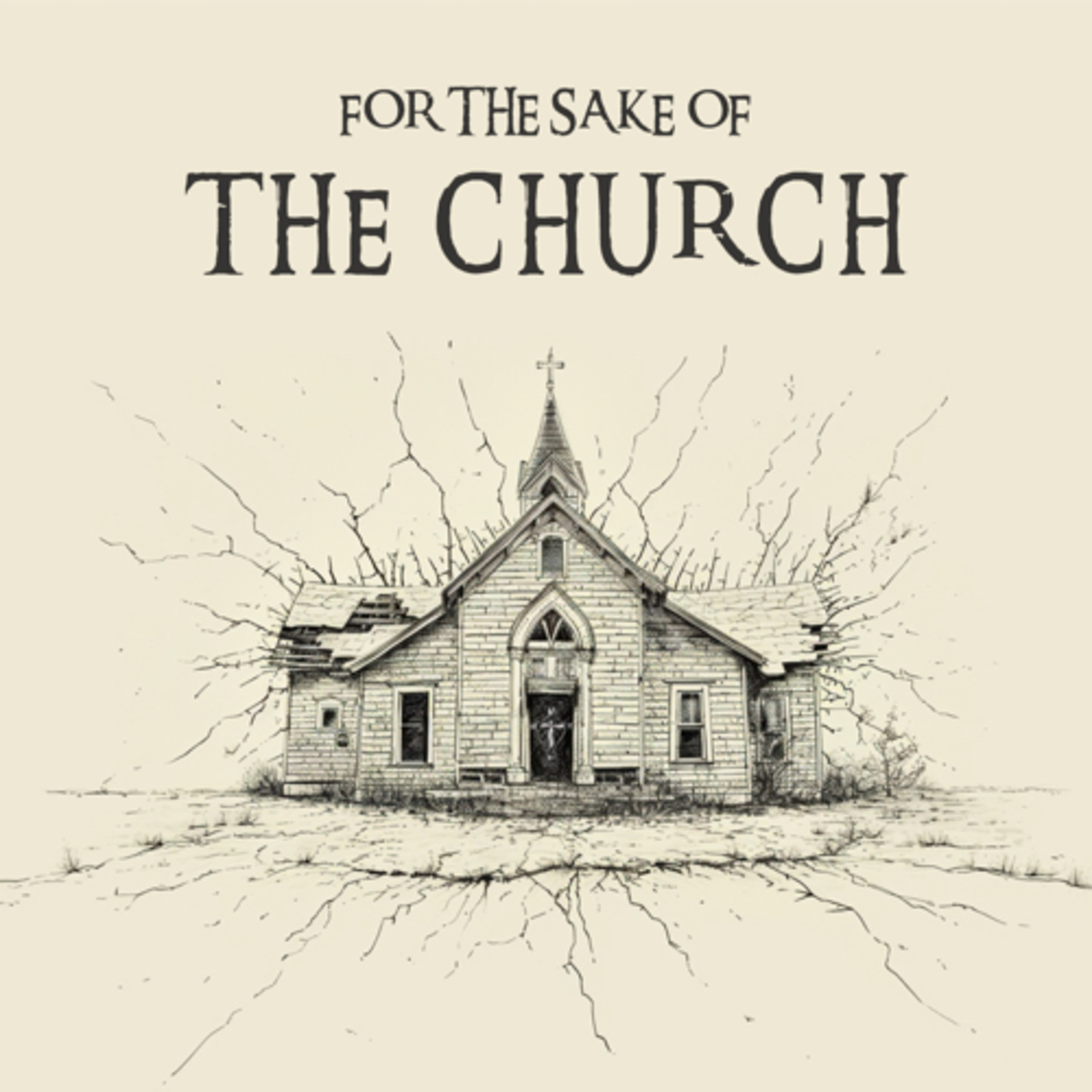 For the Sake of the Church | Wisdom & Power episode artwork